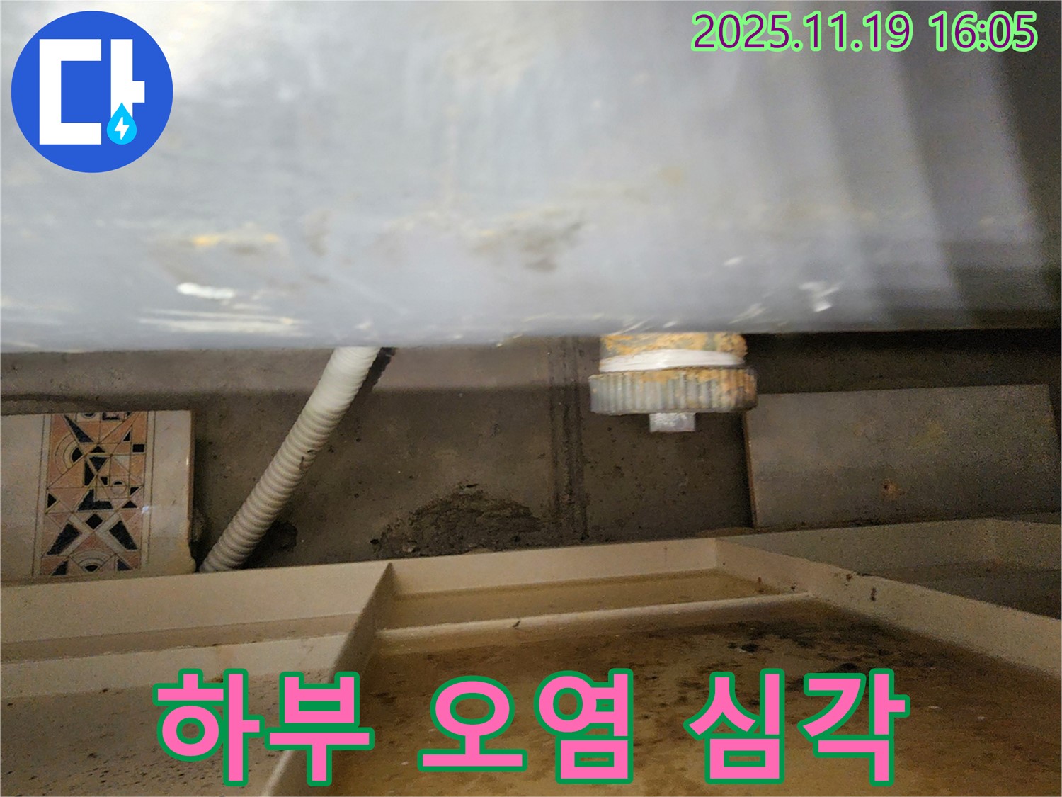 싱크대 하부 오염 - 곰팡이와 악취의 심각한 문제