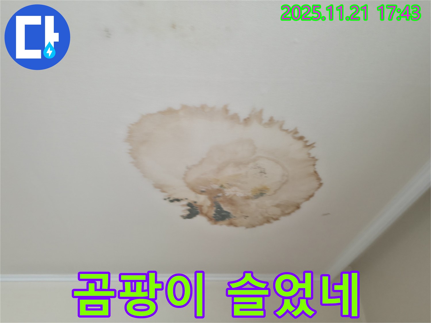 곰팡이 누수 - 꼼꼼 시공 - 싹 제거