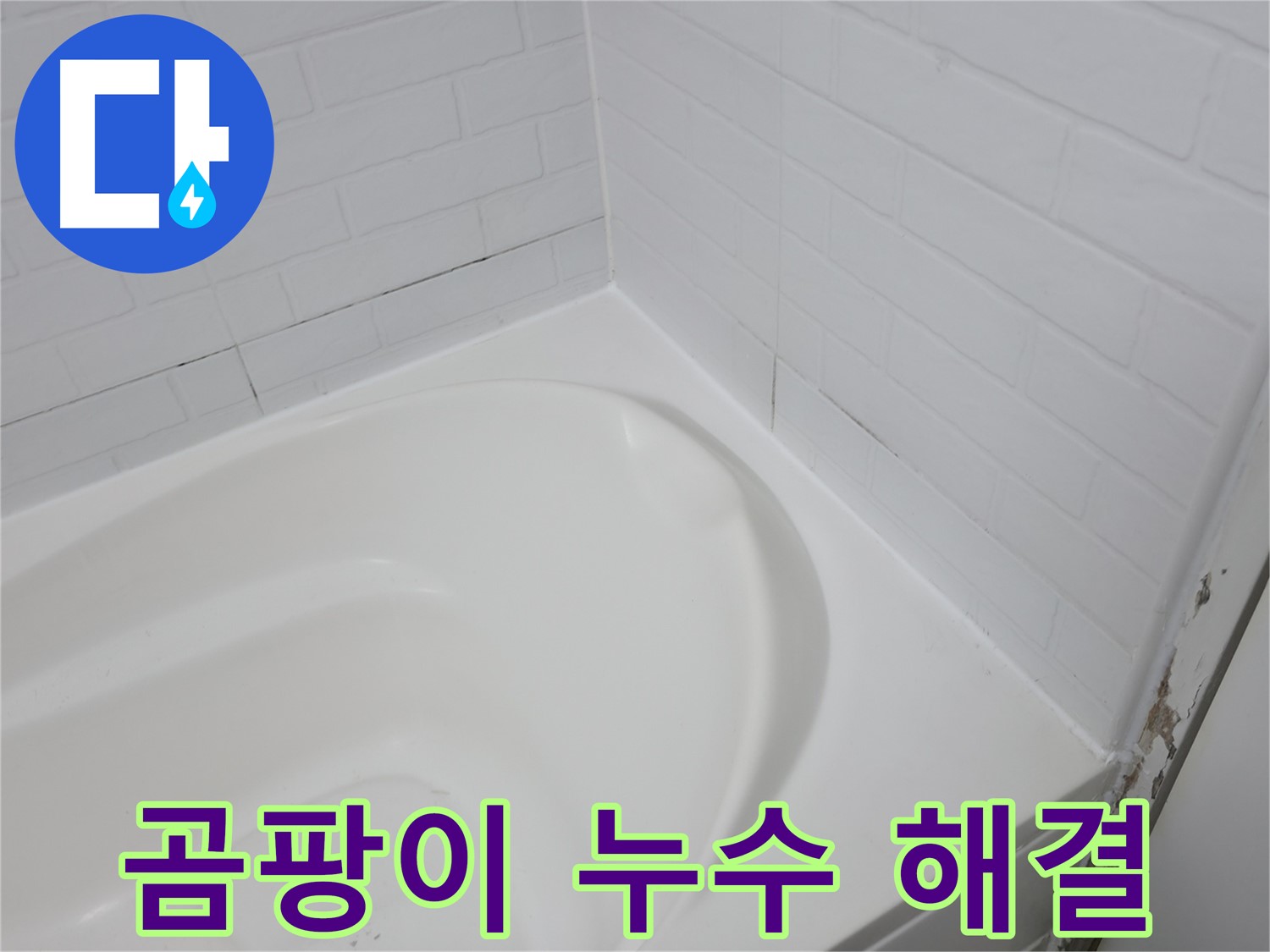 곰팡이 - 누수 해결이 먼저