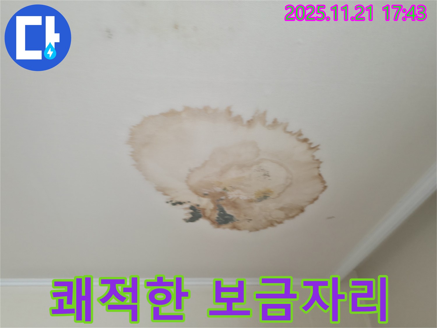 누수와의 전쟁 - 쾌적한 보금자리 - 되찾기