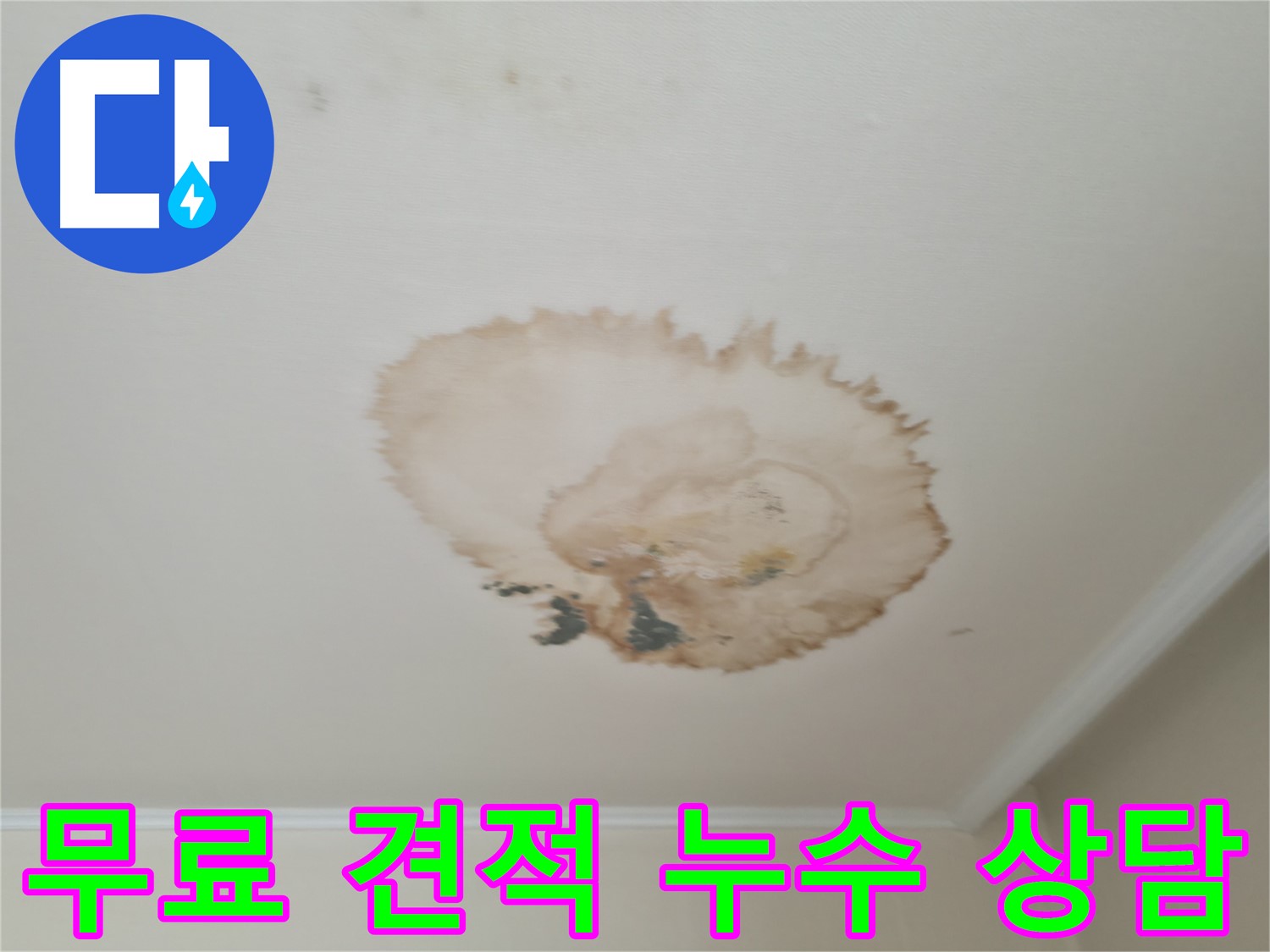 무료 견적 상담 - 누수 문제 해결 - 서대문구 누수