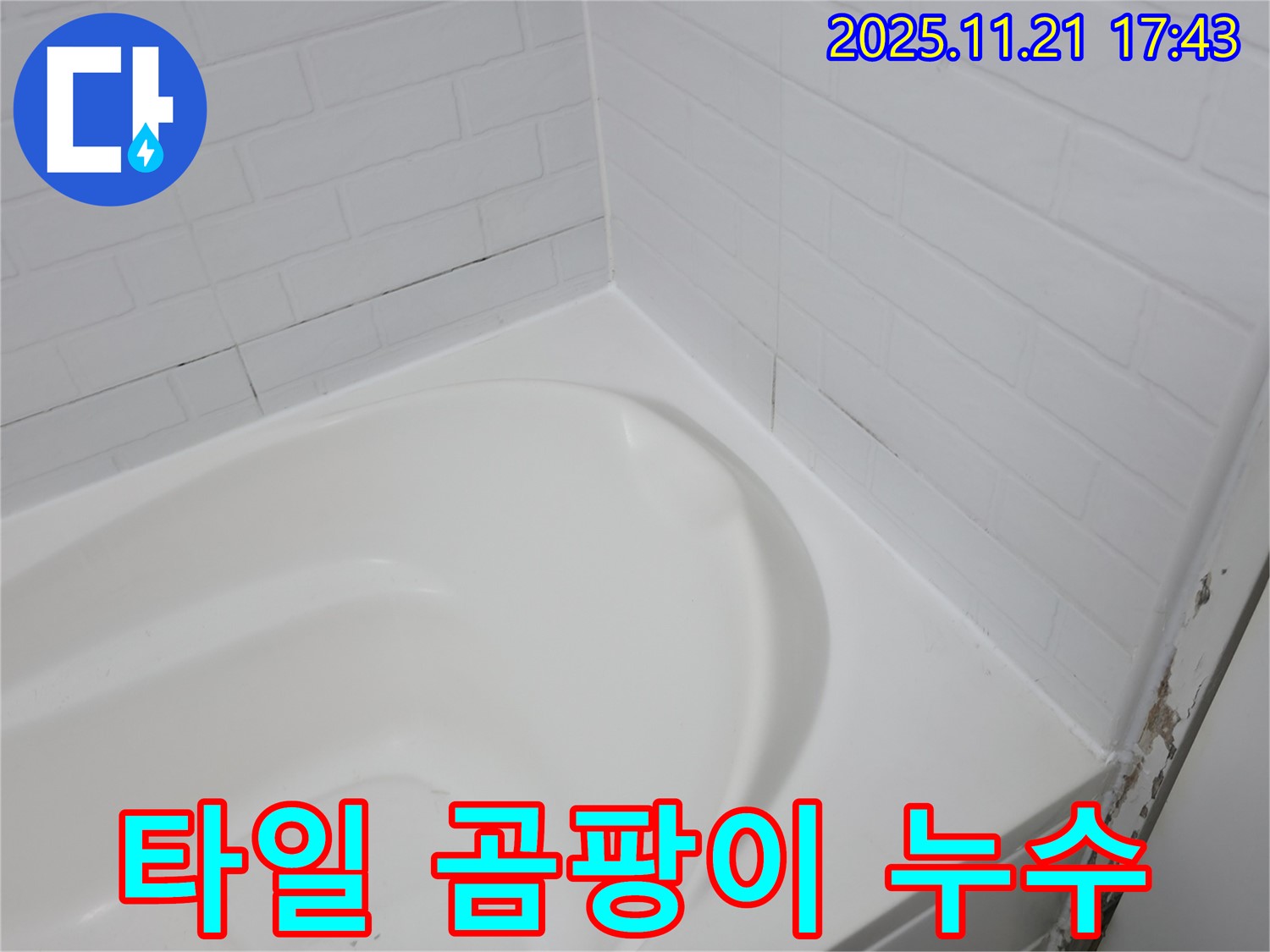 서대문구 세검정 욕조 - 곰팡이 핀 타일 틈새 - 누수 가능성 높음