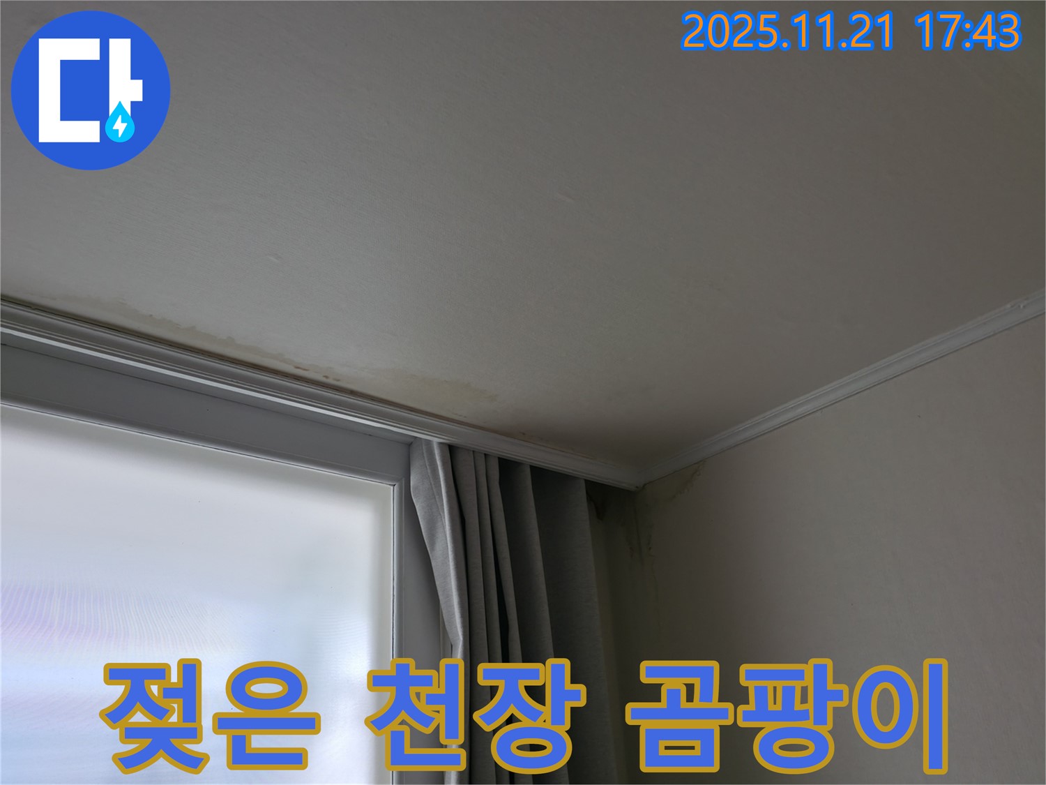 서대문구 젖은 천장 - 곰팡이 냄새 - 건강 적신호