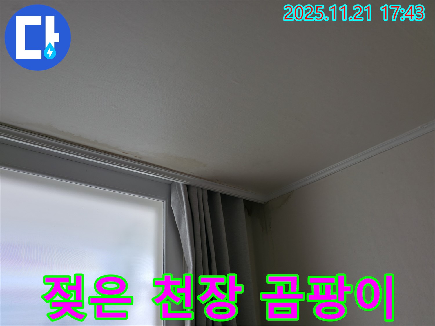 서대문구 젖은 천장 - 곰팡이 냄새 - 건강 적신호 - 긴급 점검