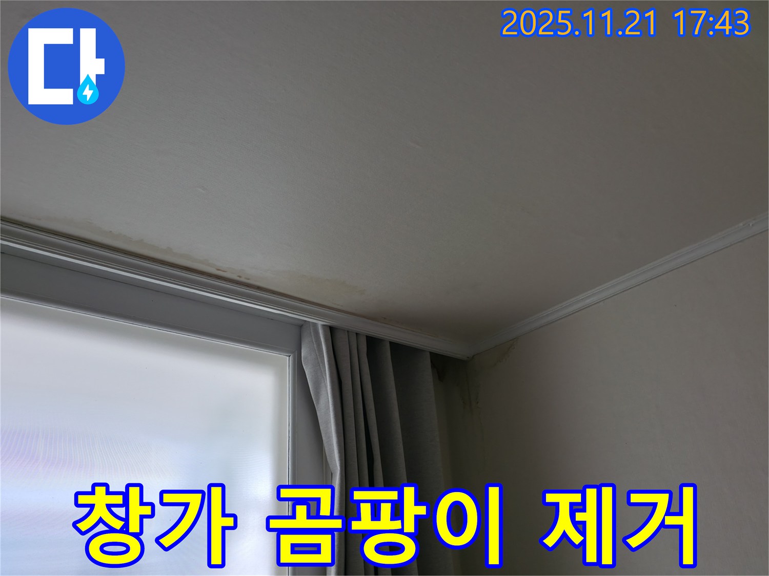 서대문구 창가 곰팡이 - 건강 위협 - 완벽 제거