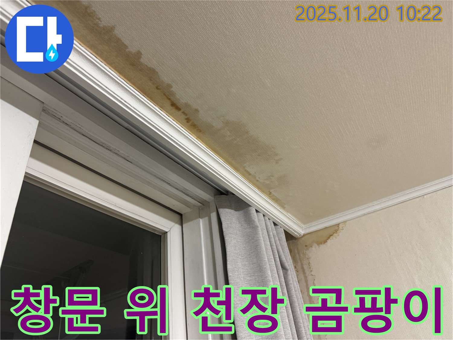 서대문구 창문 위 천장 누수 - 곰팡이 제거 및 완벽 방수 시공