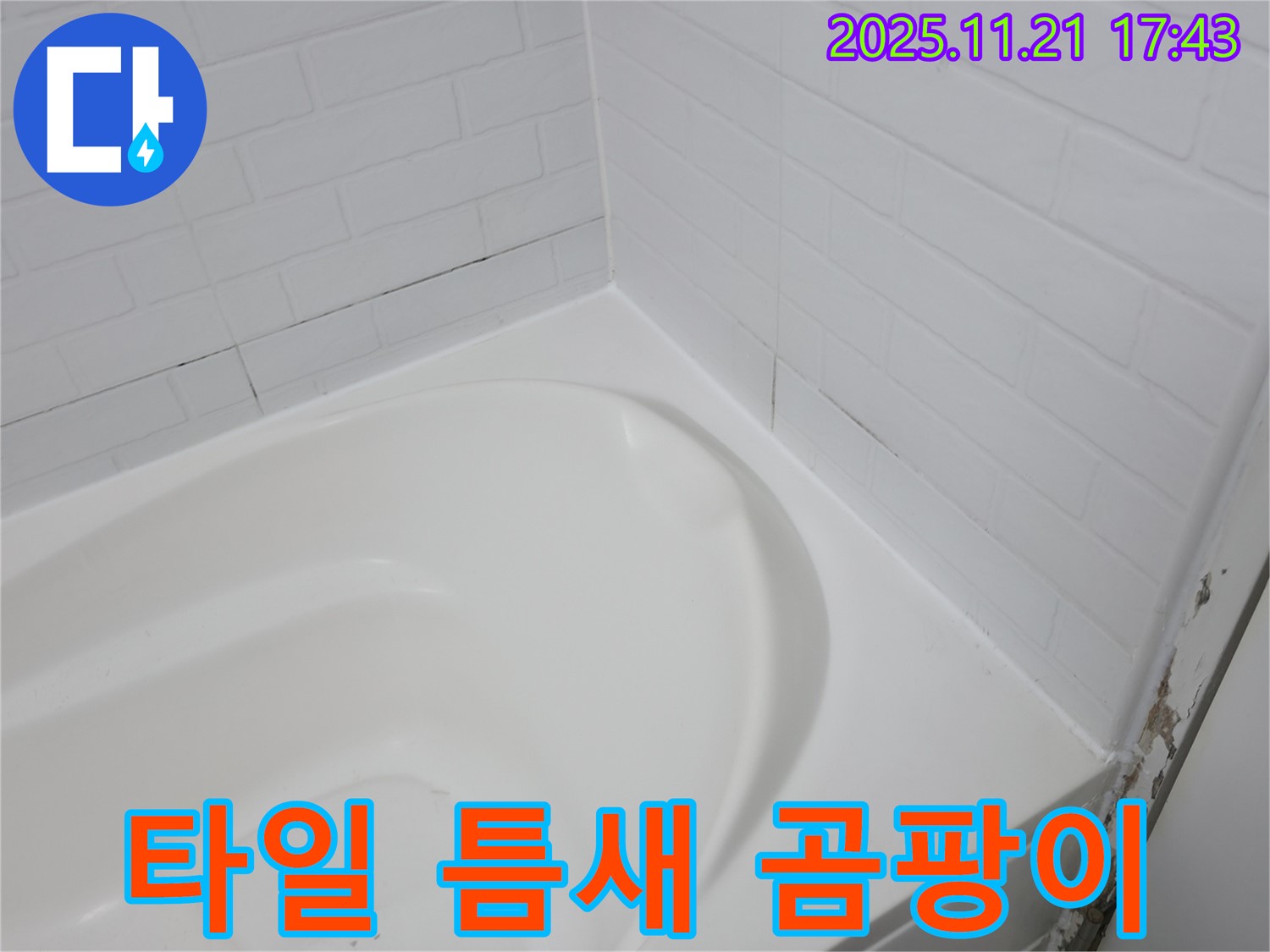 서대문구 홍제동 - 욕조 타일 틈새 - 곰팡이와 누수의 콜라보!