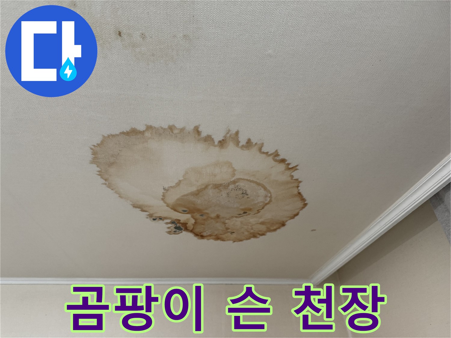 세검정 누수 - 곰팡이가 심하게 슨 천장 누수