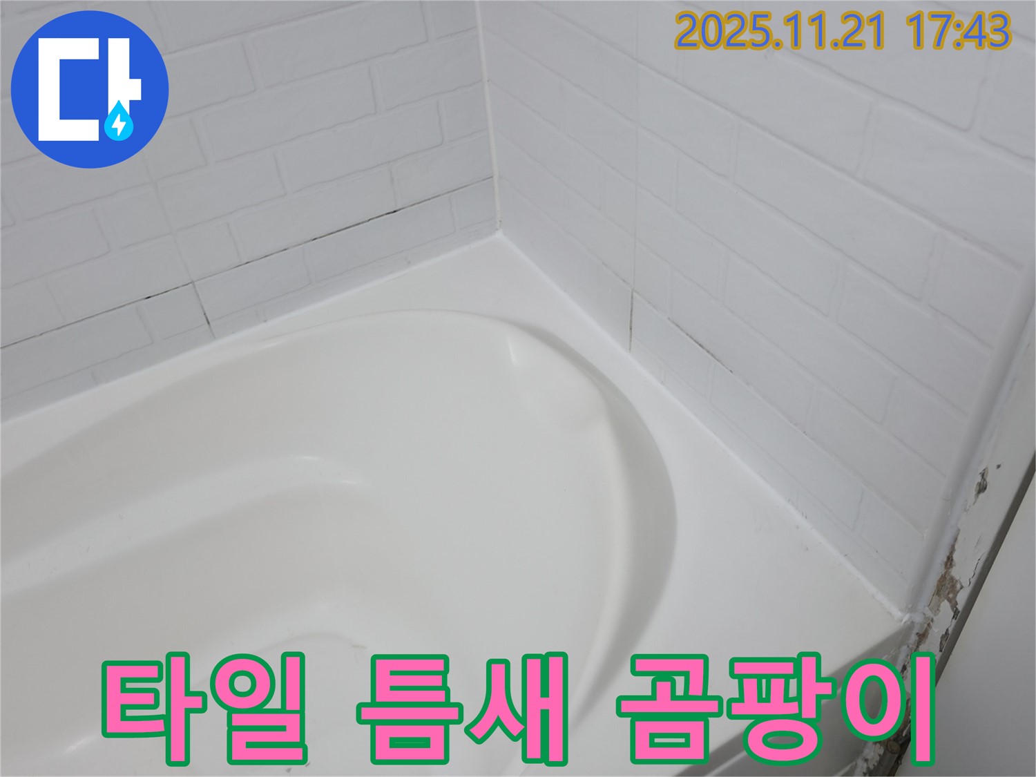 세검정 욕조 - 곰팡이와 함께 시작된 타일 틈새 누수