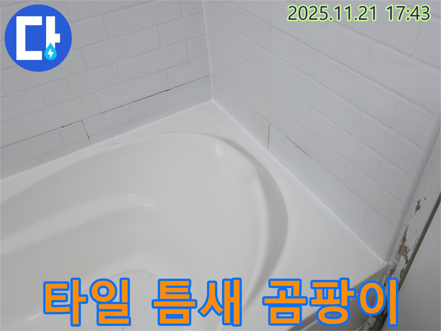 세검정 욕조 - 타일 틈새 검은 곰팡이 - 누수 신호