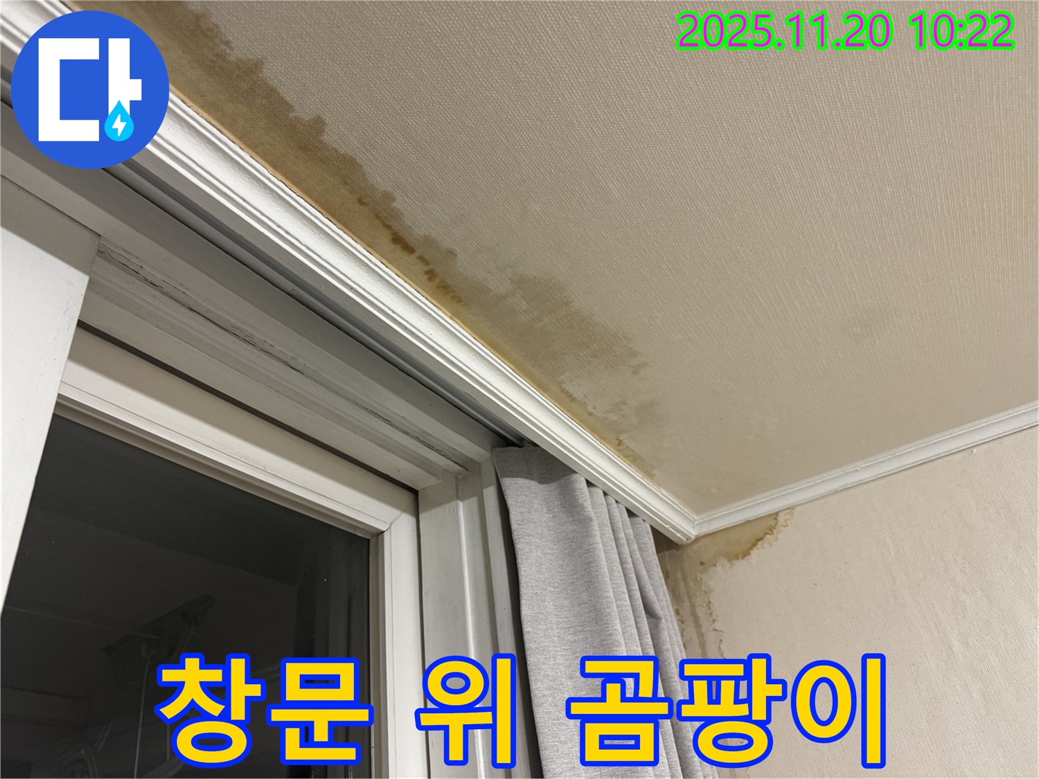 세검정 창문 위 누수 - 곰팡이 얼룩, 긴급 진단 및 해결