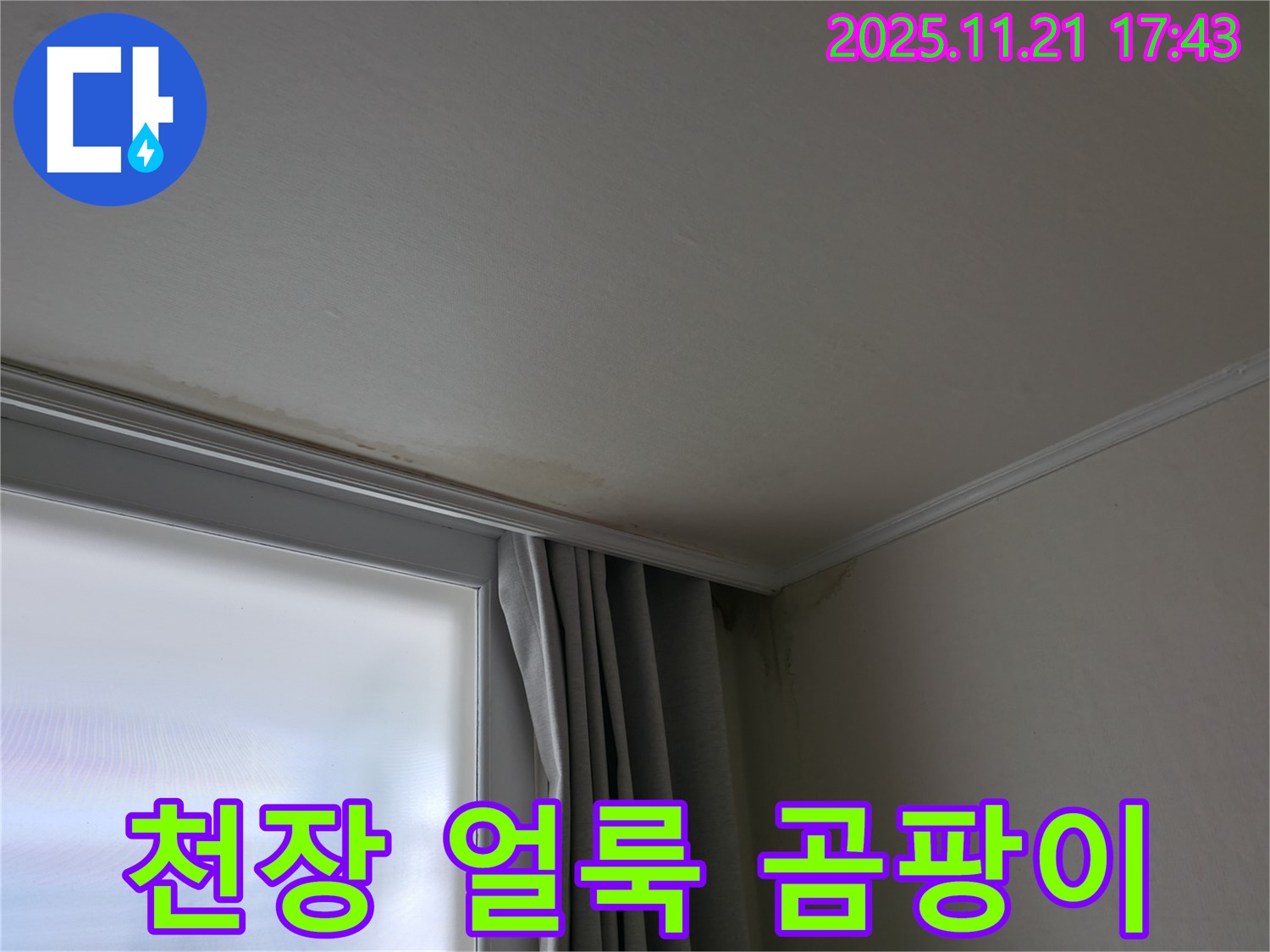 세검정 천장 얼룩 - 곰팡이 발생 - 건강 위협 - 긴급 점검
