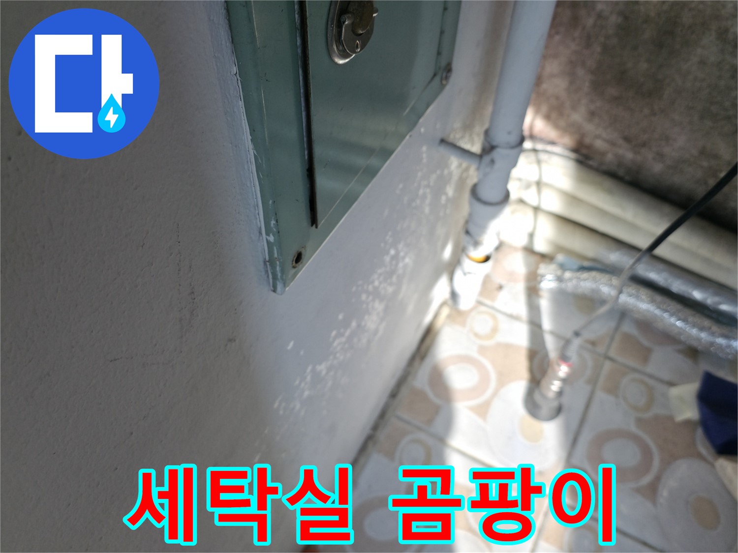 세탁실 벽 곰팡이 - 서대문구 누수 문제, 누수탐지부터 완벽 시공까지 책임집니다.