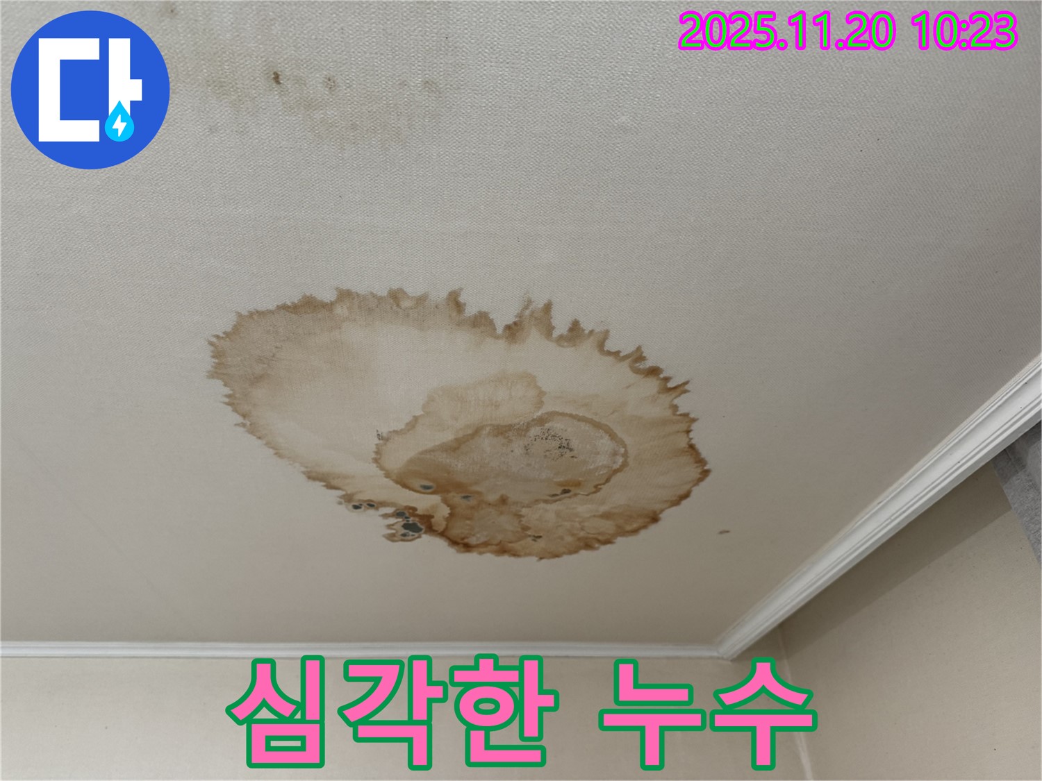 심각한 천장 누수 - 젖은 얼룩 - 곰팡이 위험 - 건물 손상 - 빠른 조치