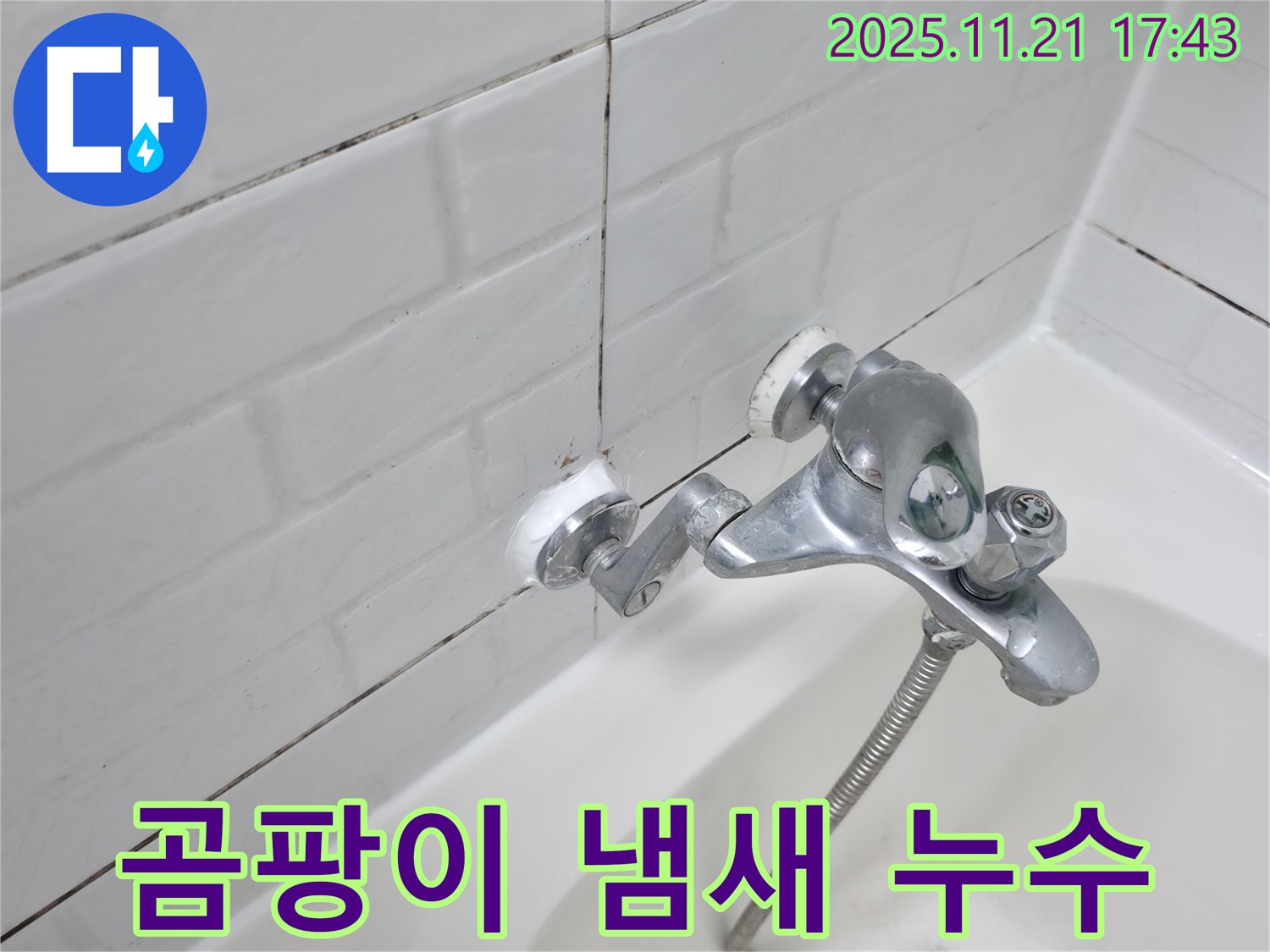 욕조 수도꼭지 누수와 심한 곰팡이 냄새 - 건강에 해로울 수 있습니다.