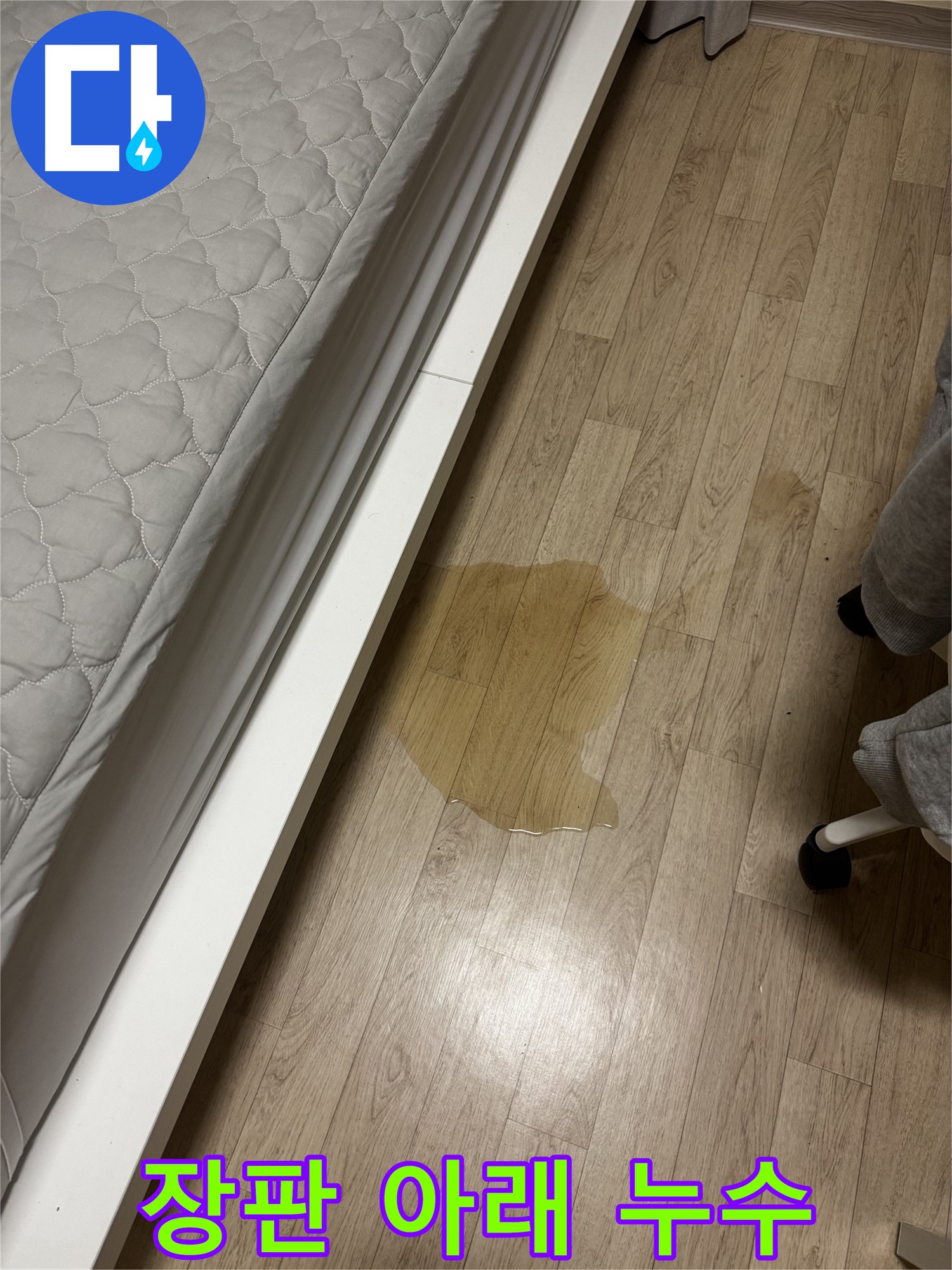 장판 아래 물이 고여있는 모습 - 습기와 곰팡이 발생 우려가 있습니다.