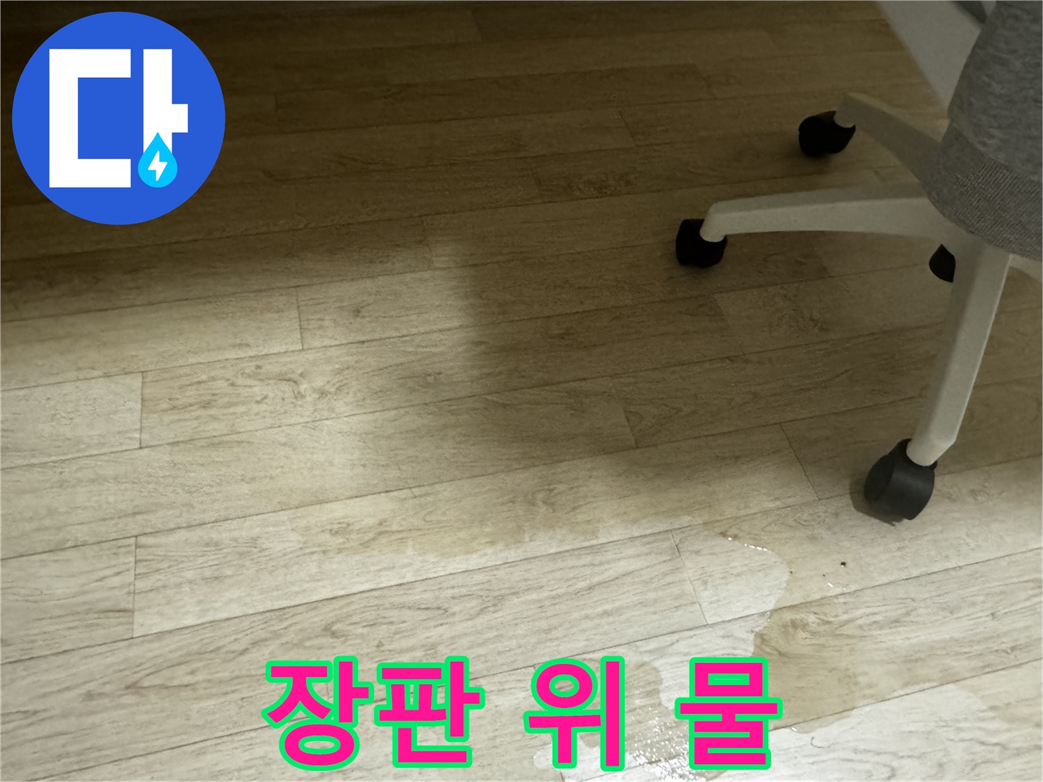 장판 위에 흥건하게 고인 물 - 누수가 심각한 상태임을 나타냅니다.