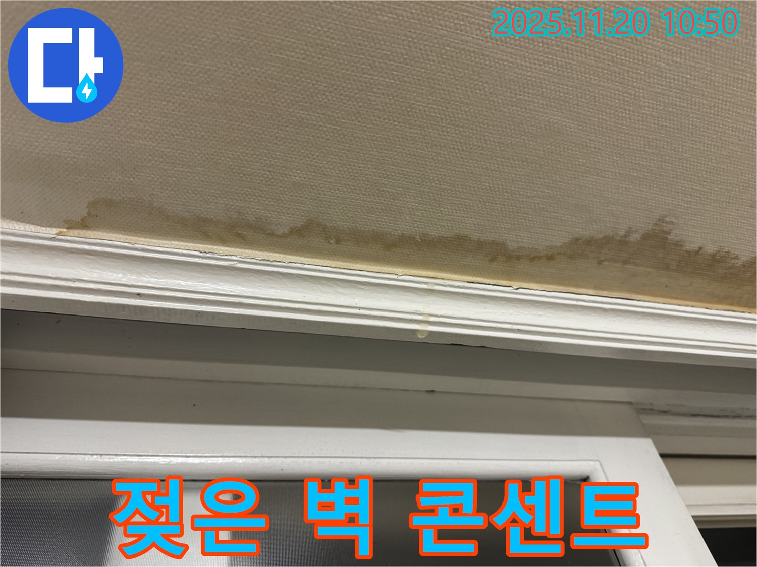 젖은 벽 - 콘센트 감전 - 안전 점검