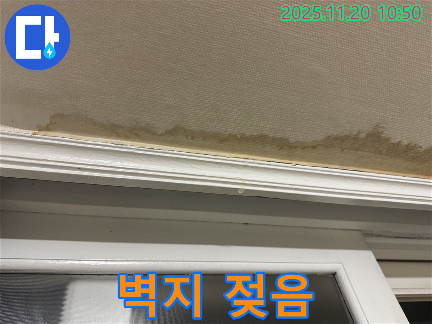 젖은 벽지 - 내부 손상 - 꼼꼼 점검