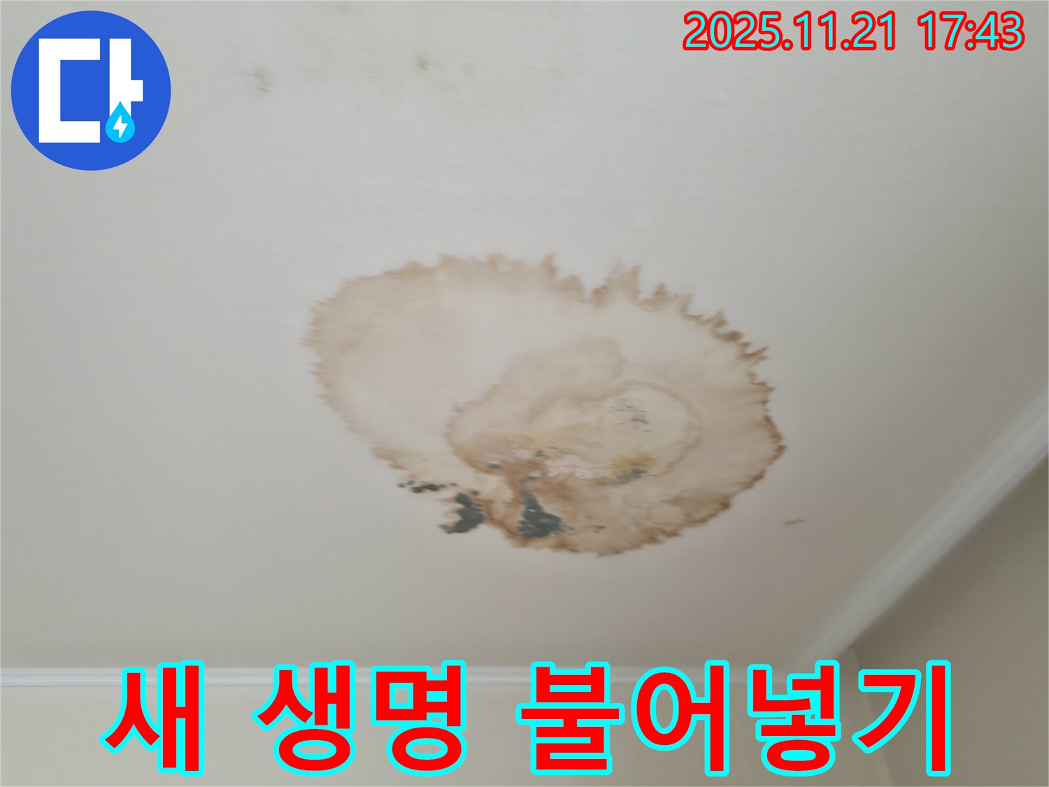 주택 누수 - 새 생명 - 누수 리모델링