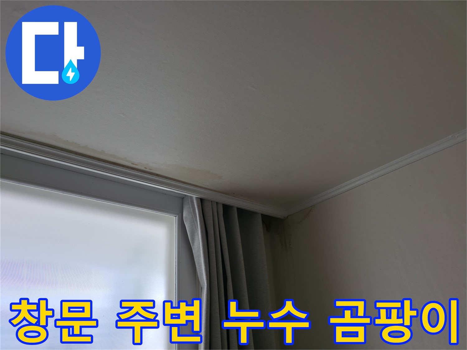 창문 주변 천장 누수 - 곰팡이 발생으로 인한 누수 흔적 확인