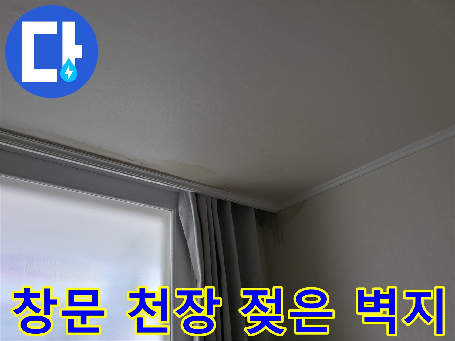 창문 천장 누수 - 젖은 벽지와 누수 확산 방지