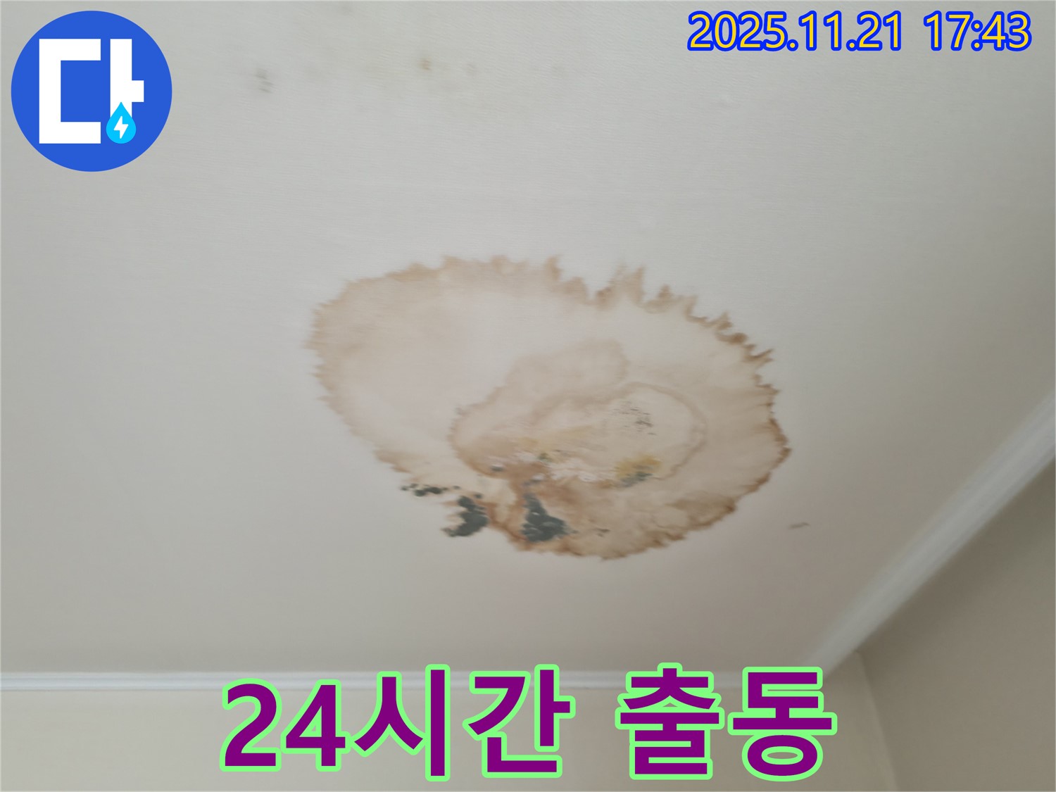 천장 누수 - 24시간 - 긴급 출동