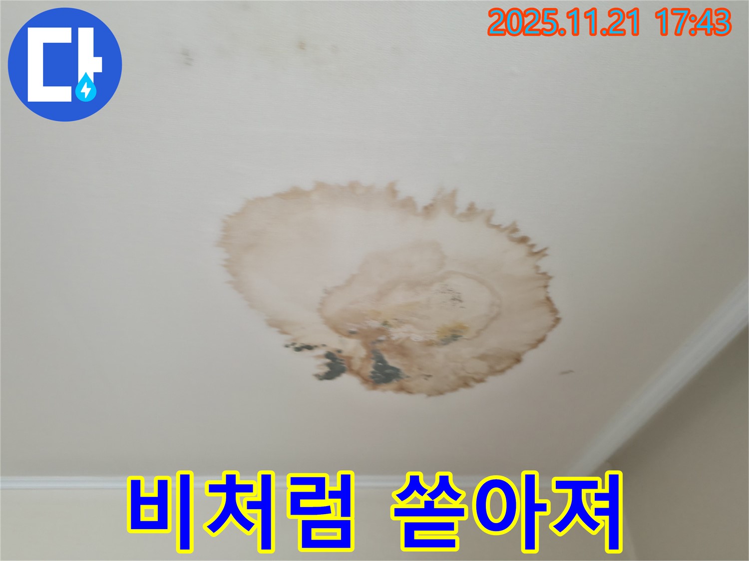 천장 누수 - 긴급 SOS - 비처럼 쏟아지기 전에
