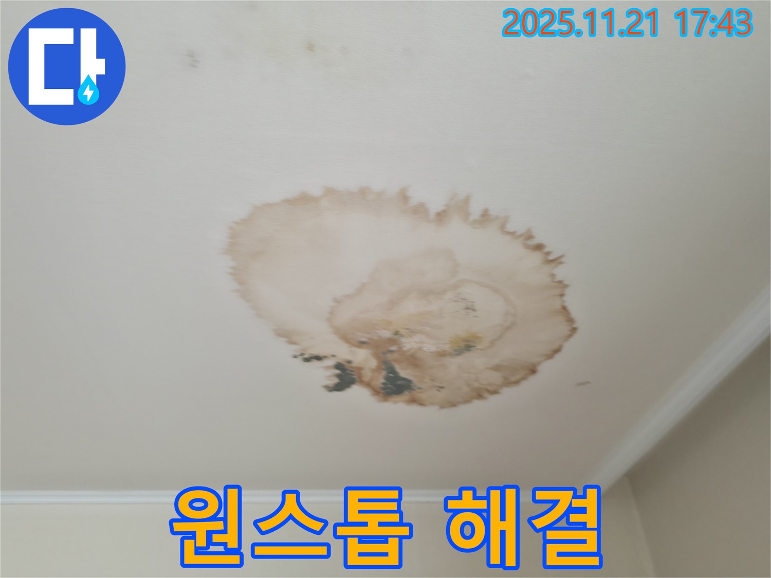천장 누수 - 원스톱 서비스 - 편리한 해결
