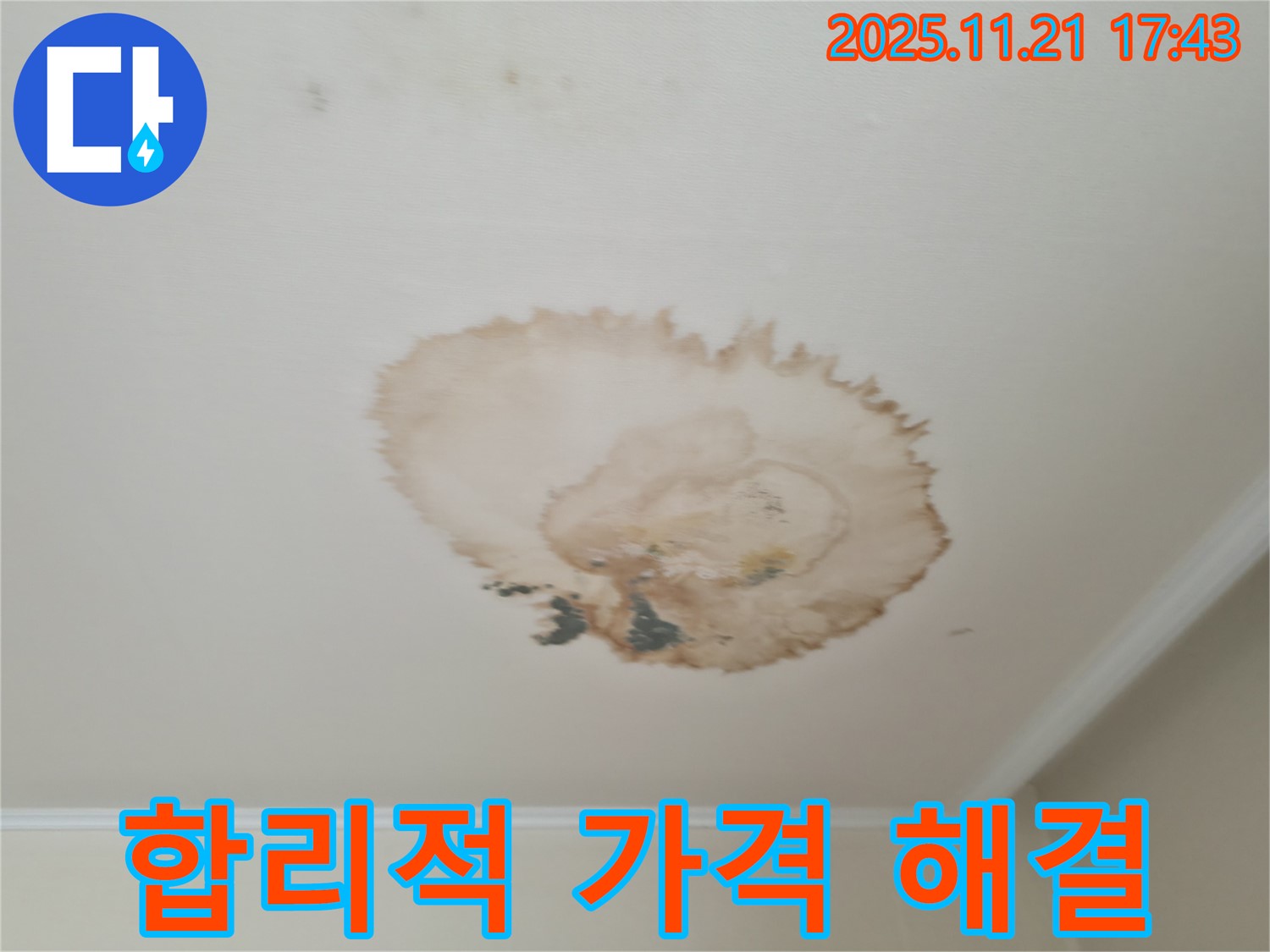 천장 누수 - 합리적 가격 - 완벽 해결
