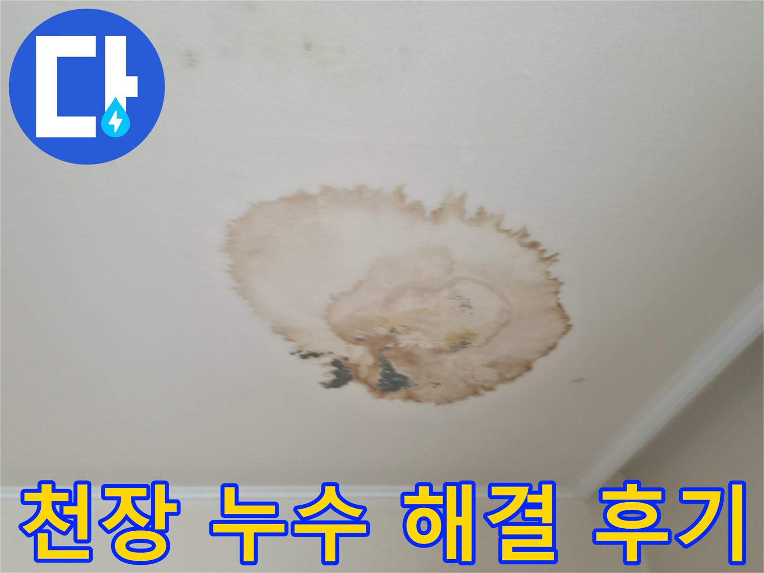 천장 누수 해결 - 고객 만족 후기 - 서대문구 누수 업체