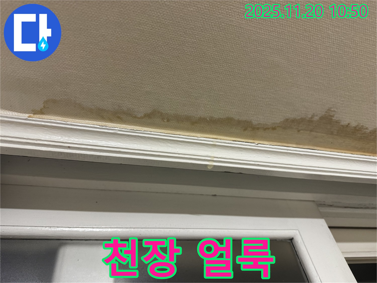 천장 얼룩 - 누수 의심 - 초기 진단