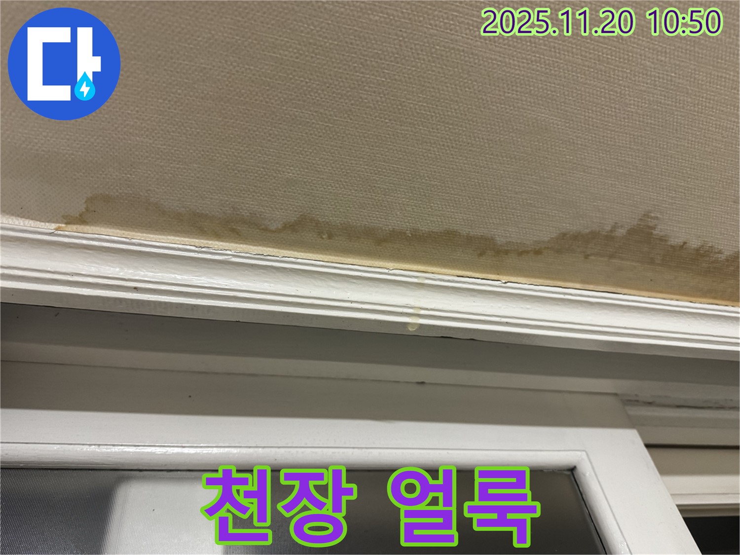 천장 얼룩 - 장마철 누수 - 집중 관리