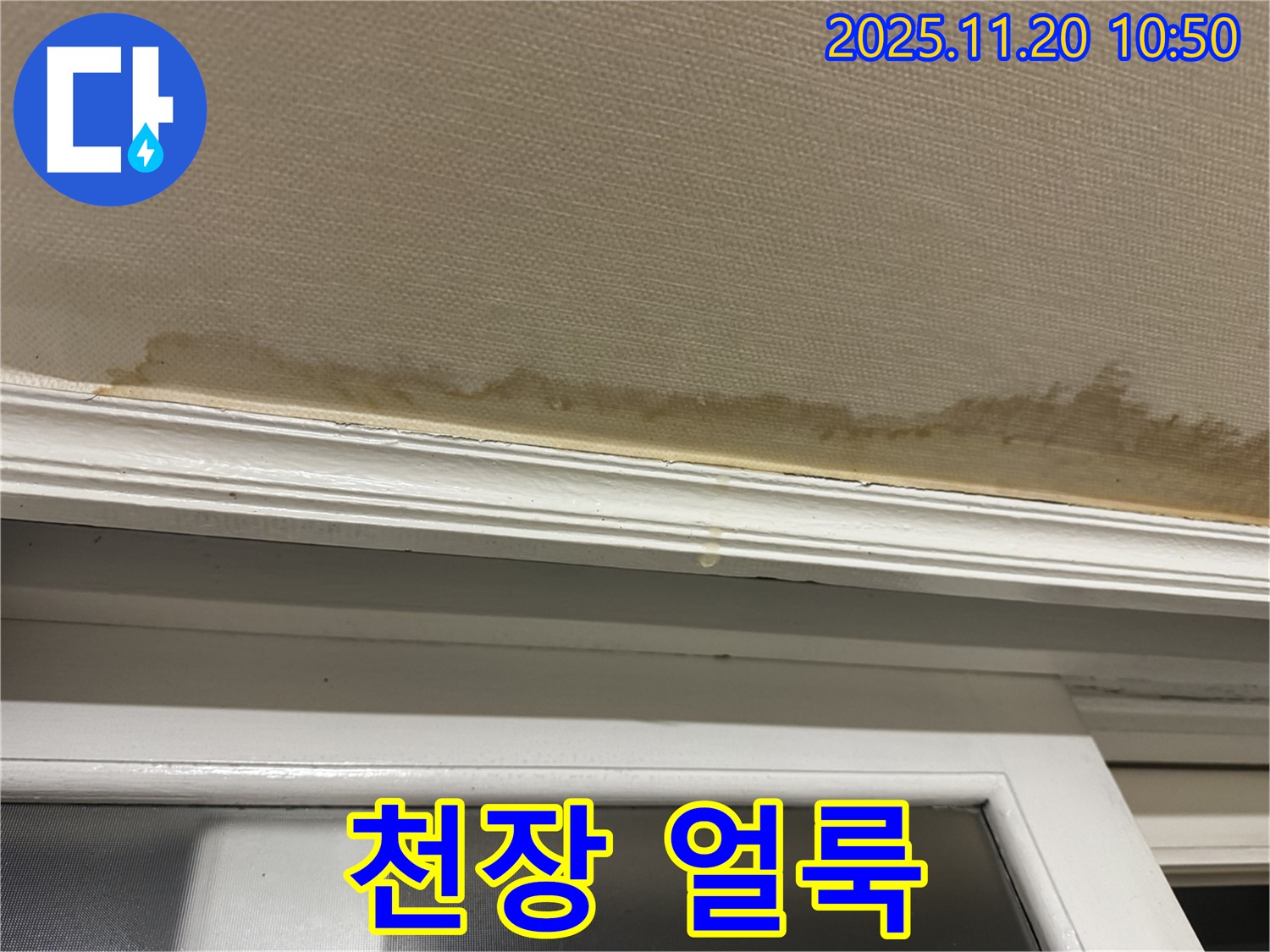 천장 얼룩 - 장마철 누수 - 집중 관리