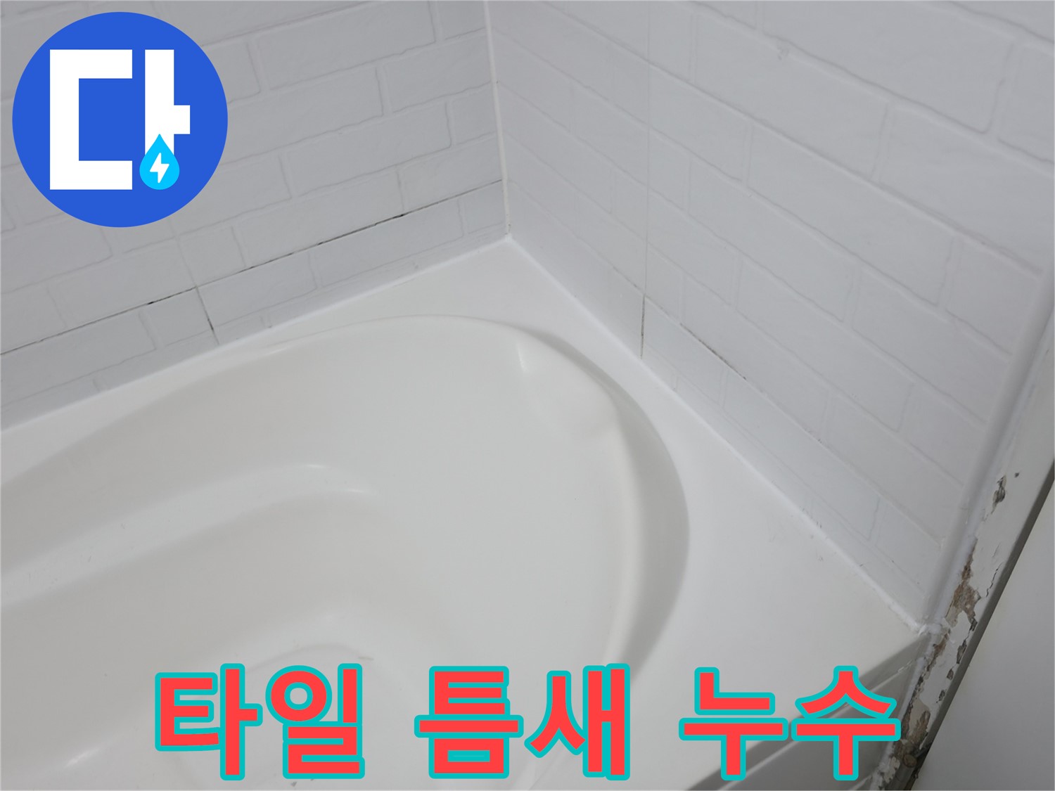 타일 틈새 - 누수의 시작
