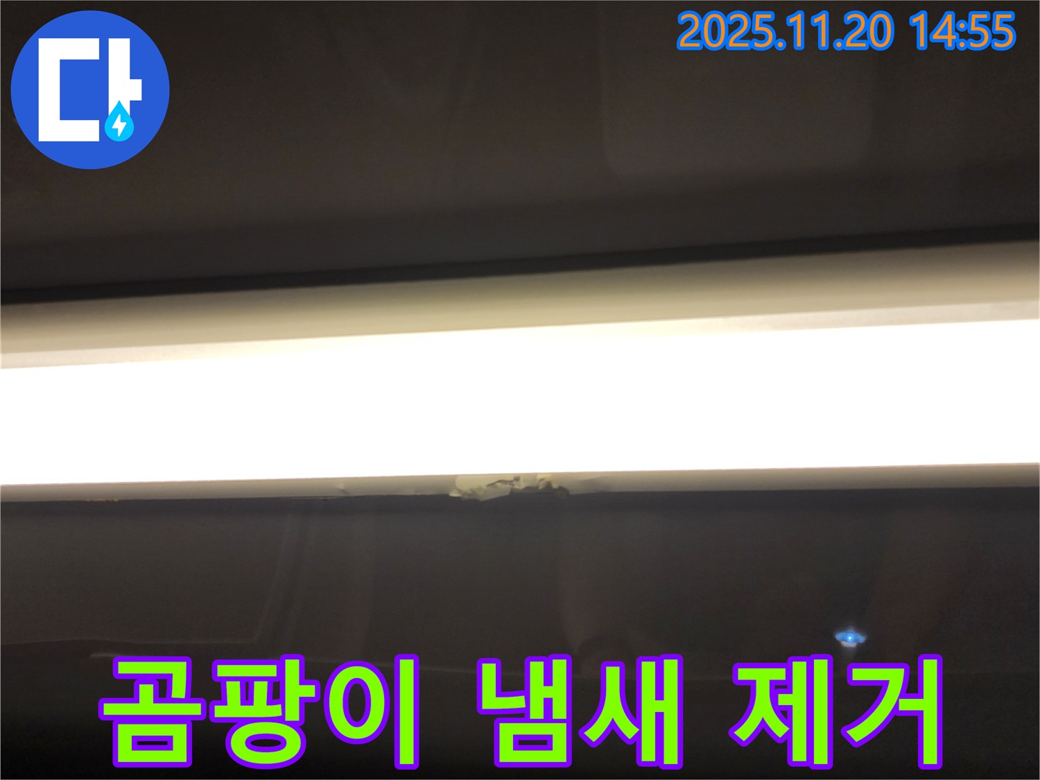 LED 조명 누수 - 곰팡이 냄새 제거, 확실하게 해결