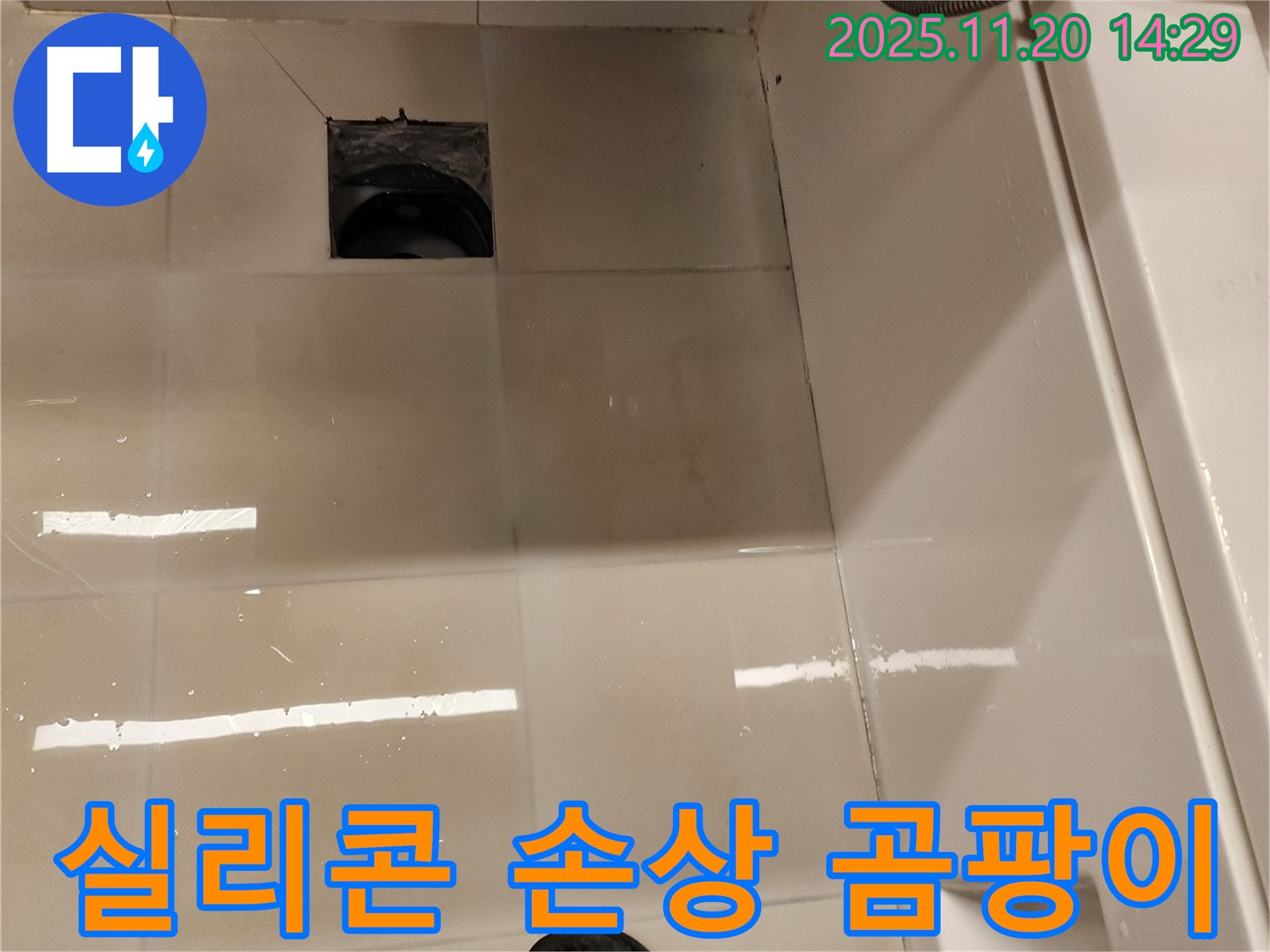 가산면 마산리 욕실 배수구 누수 - 실리콘 손상 및 곰팡이 발생으로 인한 누수 위험 점검