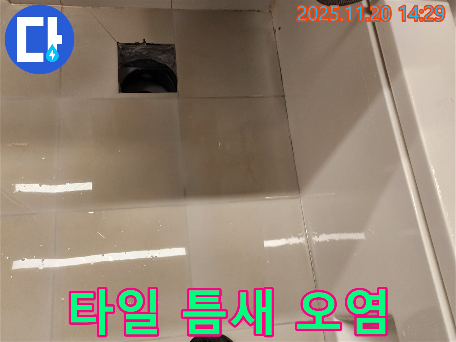 가산면 마산리 욕실 배수구 누수 - 타일 틈새 오염 및 물고임 상태 점검