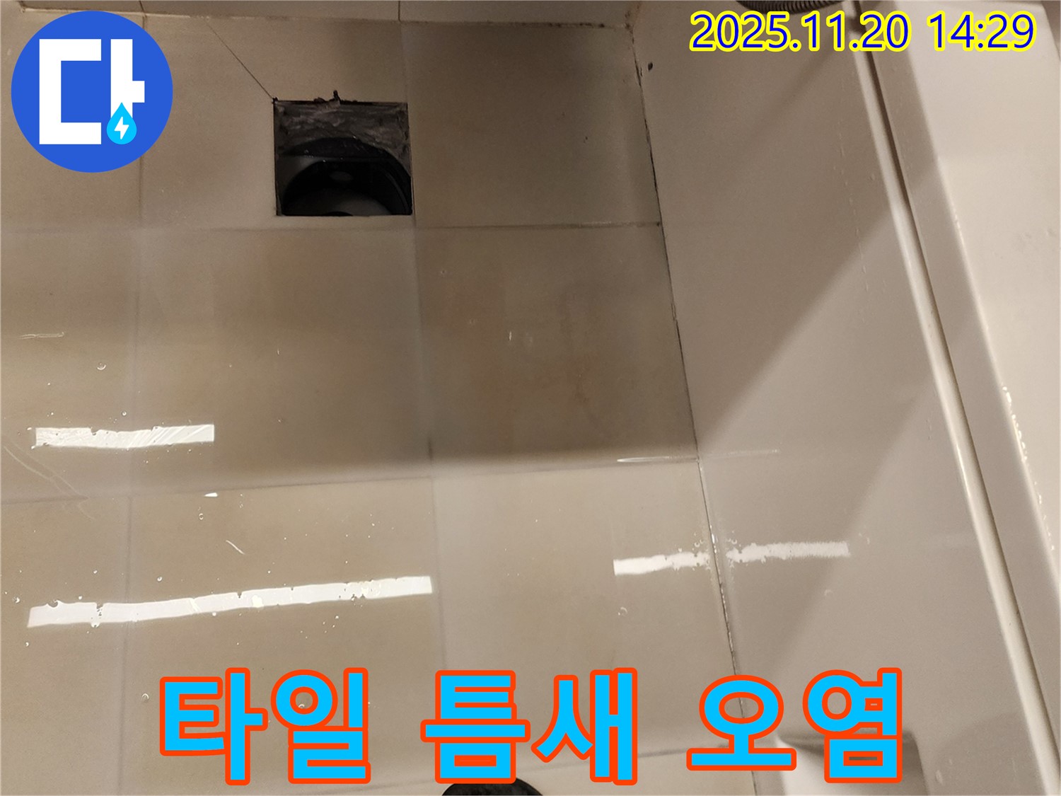 가산면 마산리 욕실 배수구 누수 - 타일 틈새 오염 및 물고임 상태 점검