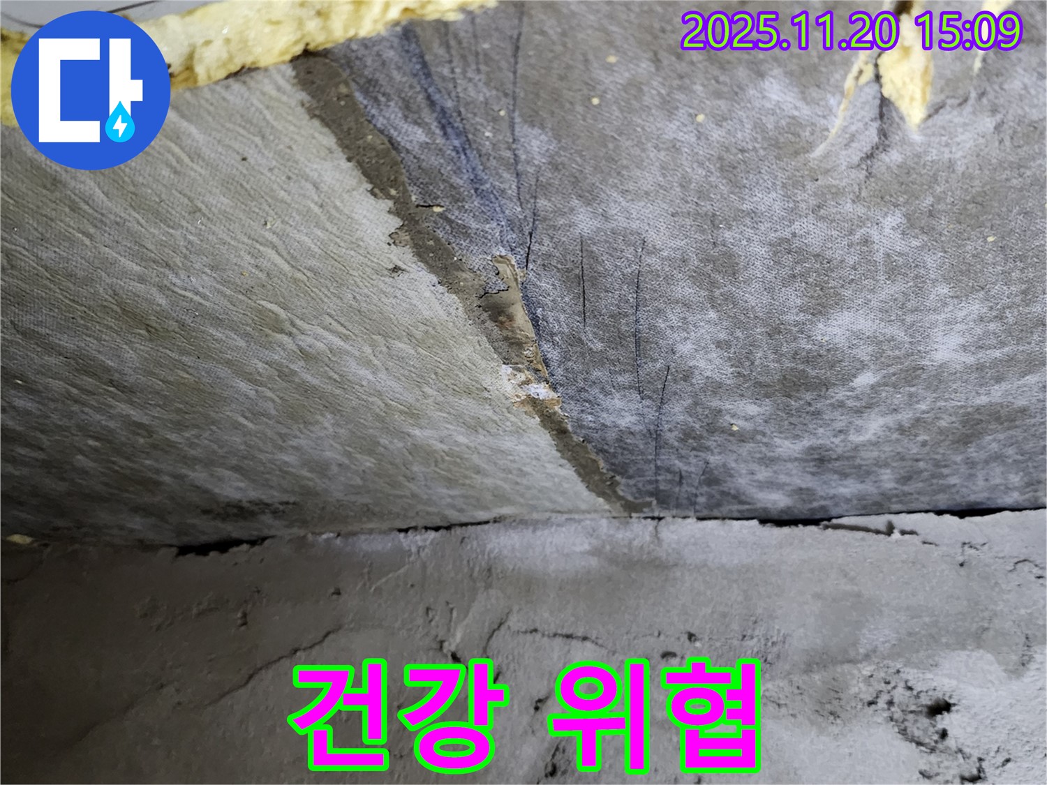 건강 위협 - 젖은 단열재 - 곰팡이 서식