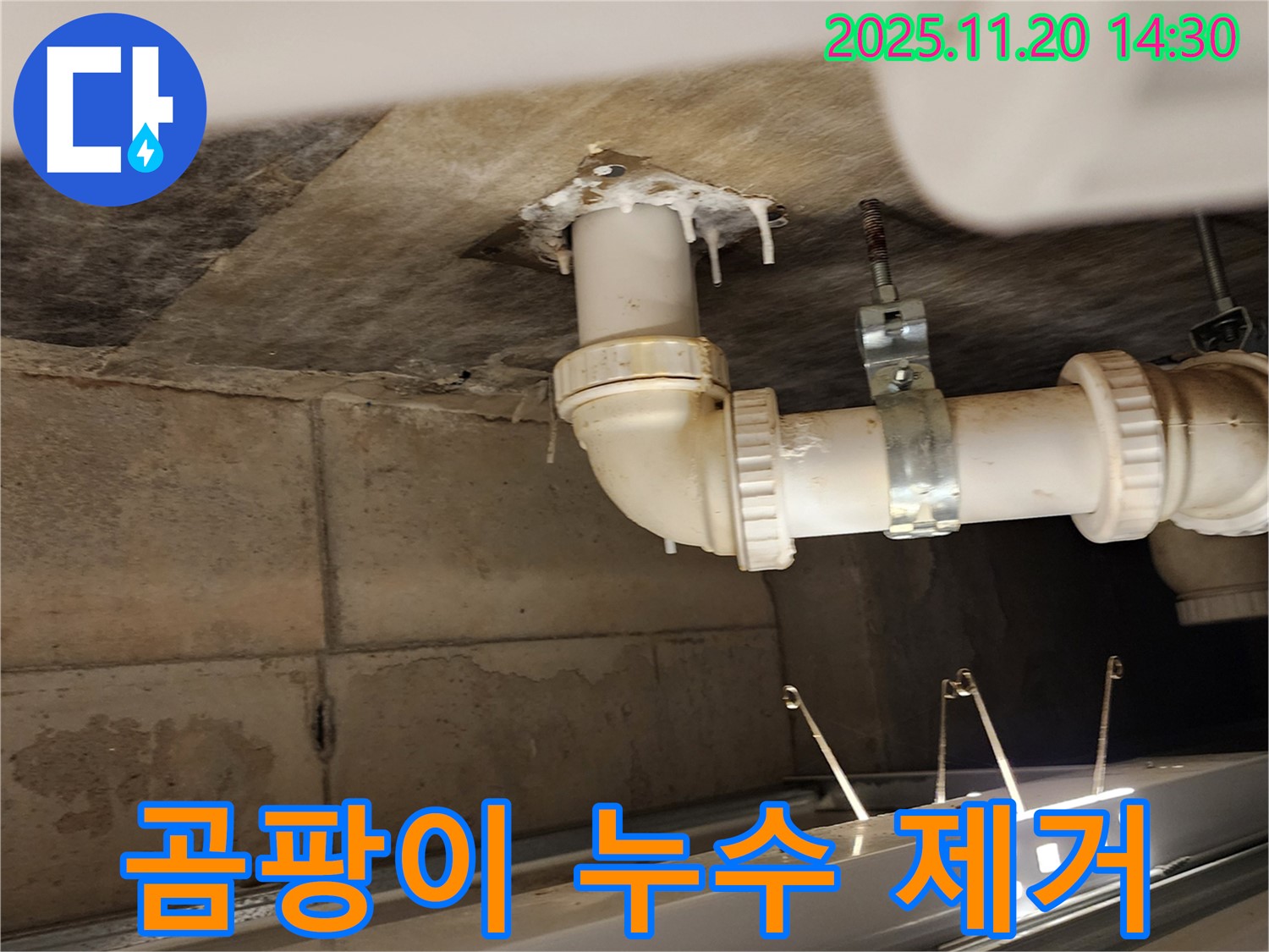 곰팡이 누수 제거 - 가산면 마산리 누수, 배수관 누수로 인한 곰팡이까지 깨끗하게 제거!