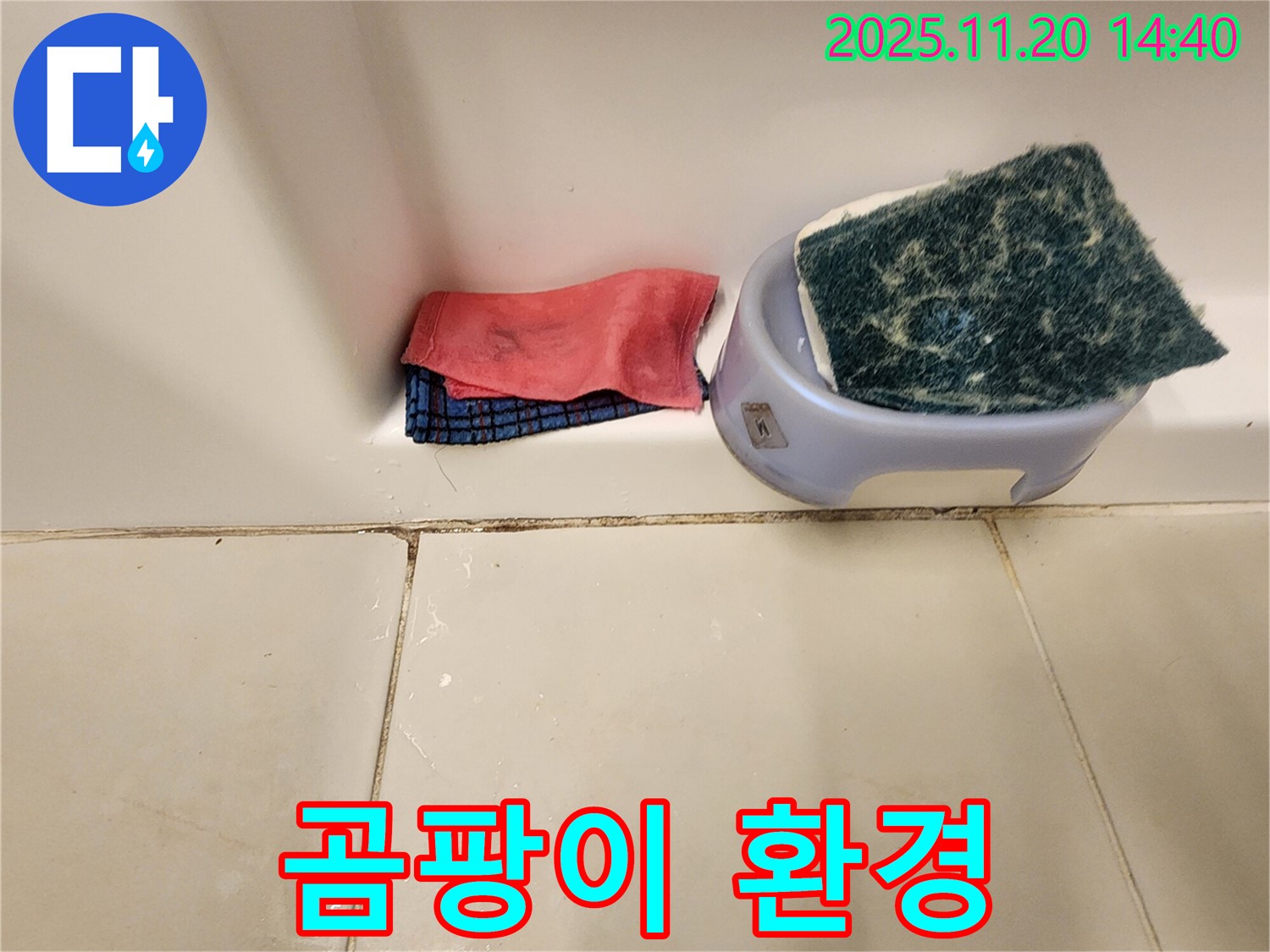 곰팡이 - 어떤 환경에서 가장 잘 생기나요? 습하고 따뜻한 곳입니다.