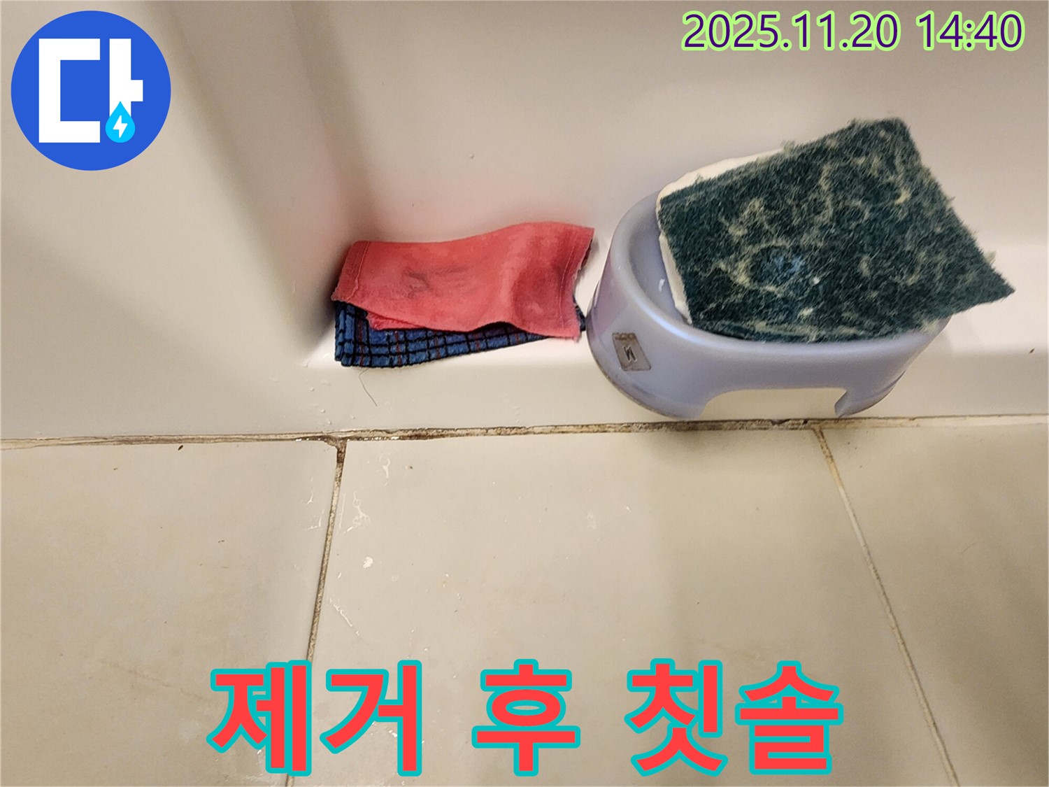 곰팡이 제거 - 곰팡이 제거 후 칫솔, 어떻게 해야 할까요?