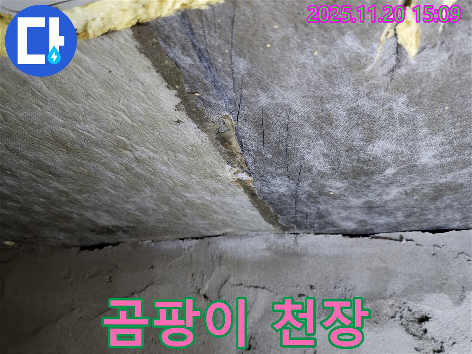 곰팡이 천장 - 곰팡이가 핀 천장 - 누수 해결이 우선입니다.