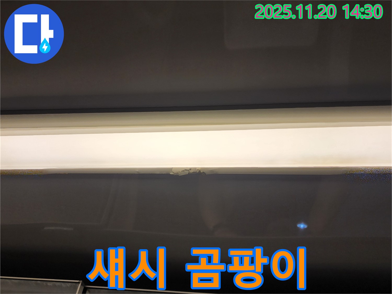 섀시 곰팡이 - 누수 해결이 우선
