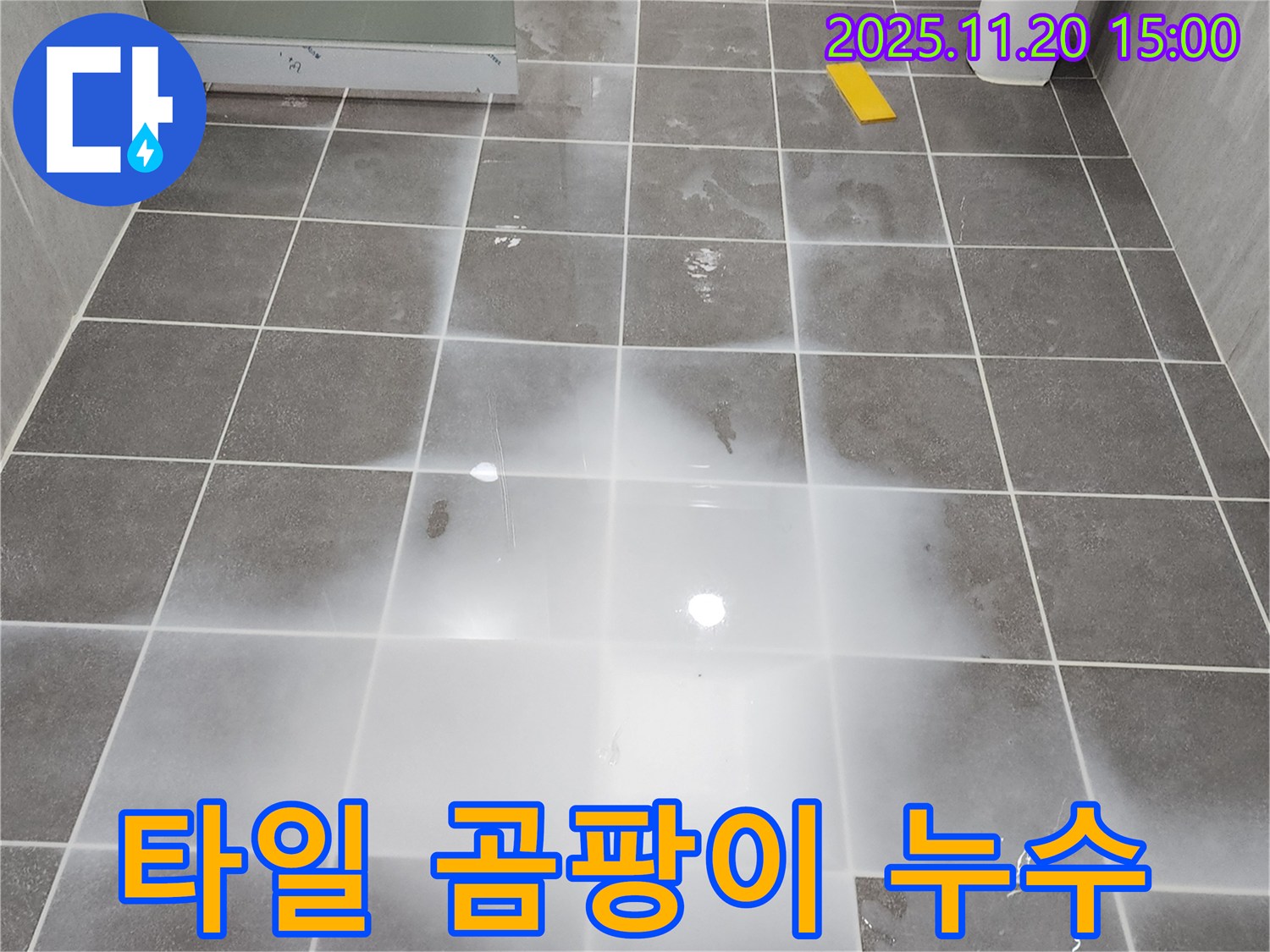 세탁실 타일 틈새에 곰팡이가 핀 모습 - 누수 신호일 수 있습니다.