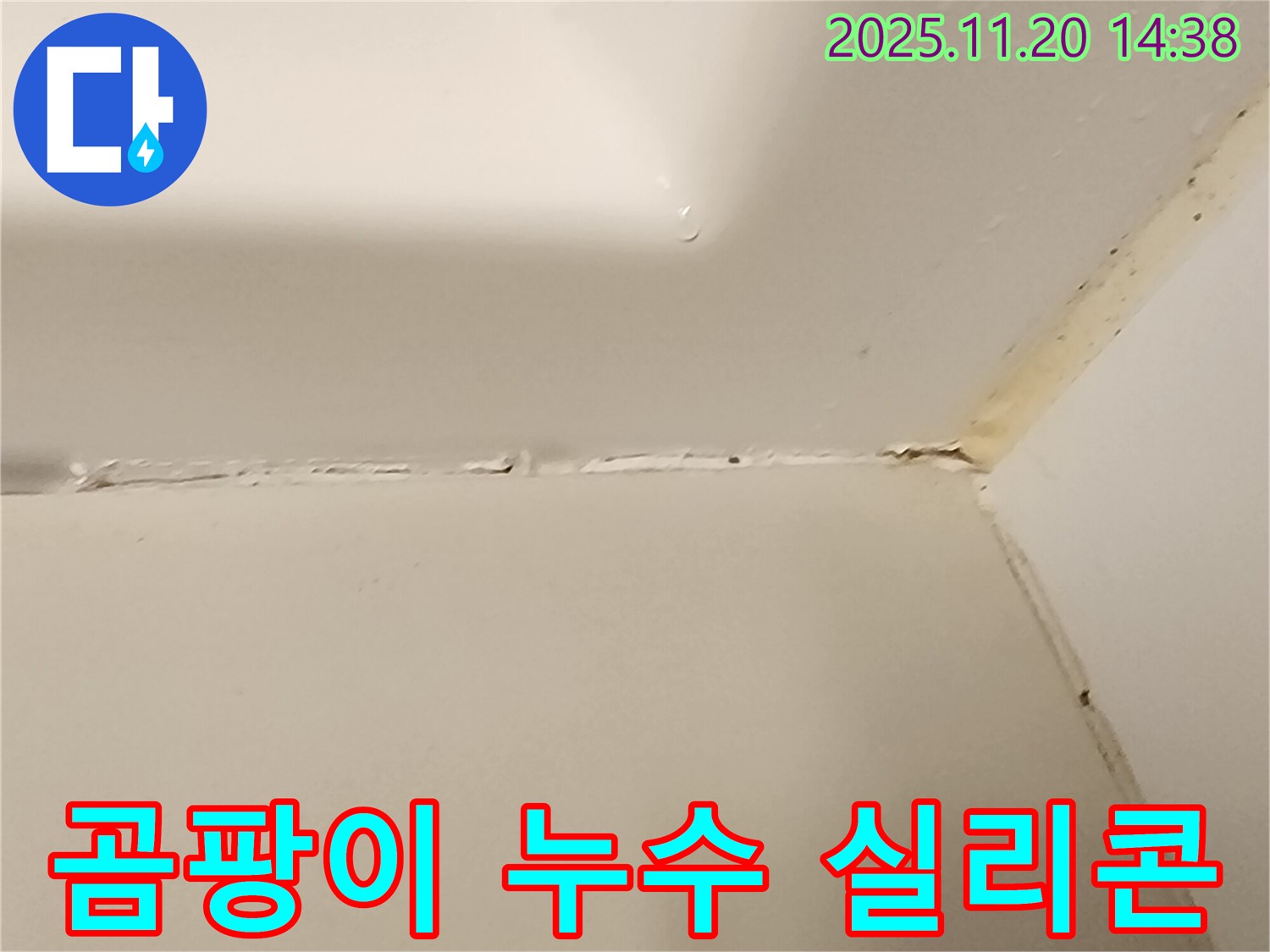 욕실 곰팡이 누수 - 실리콘 손상과 누수의 관계