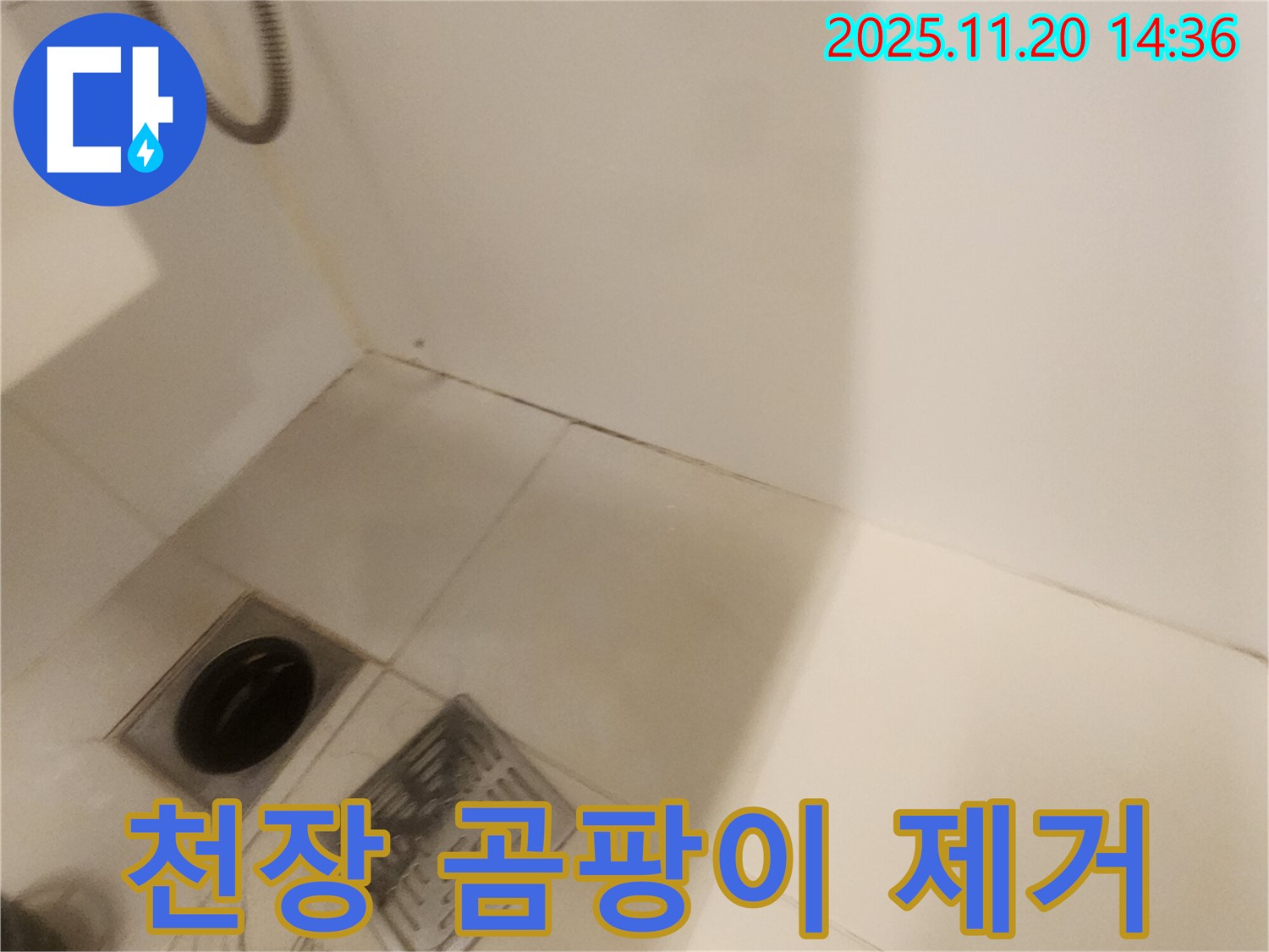 욕실 천장 곰팡이 제거 - 포천 가산면 마산리 누수, 쾌적하게!