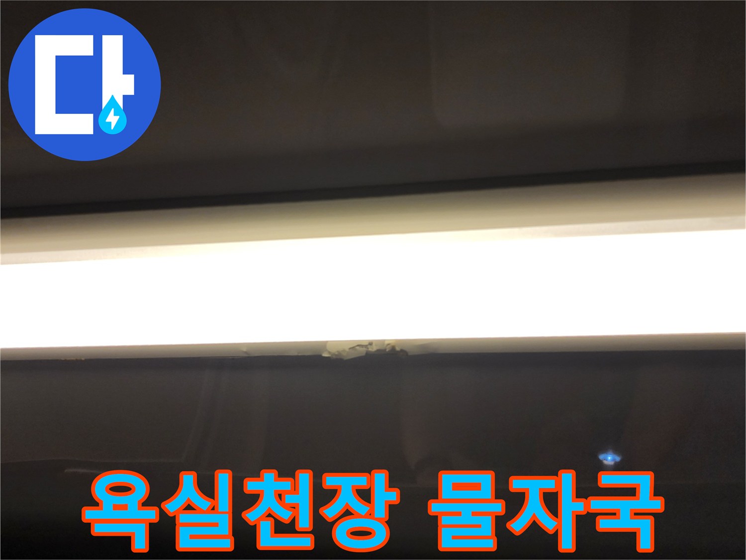 욕실 천장 조명 주변의 습기와 물자국 확인