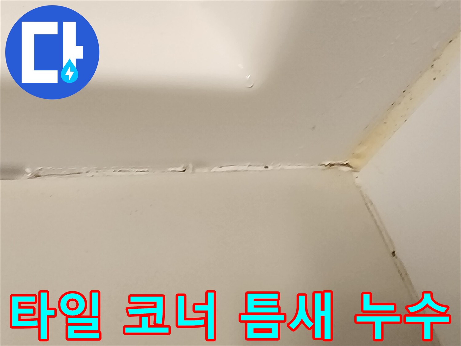 욕실-타일-접합부-균열-현장-사진